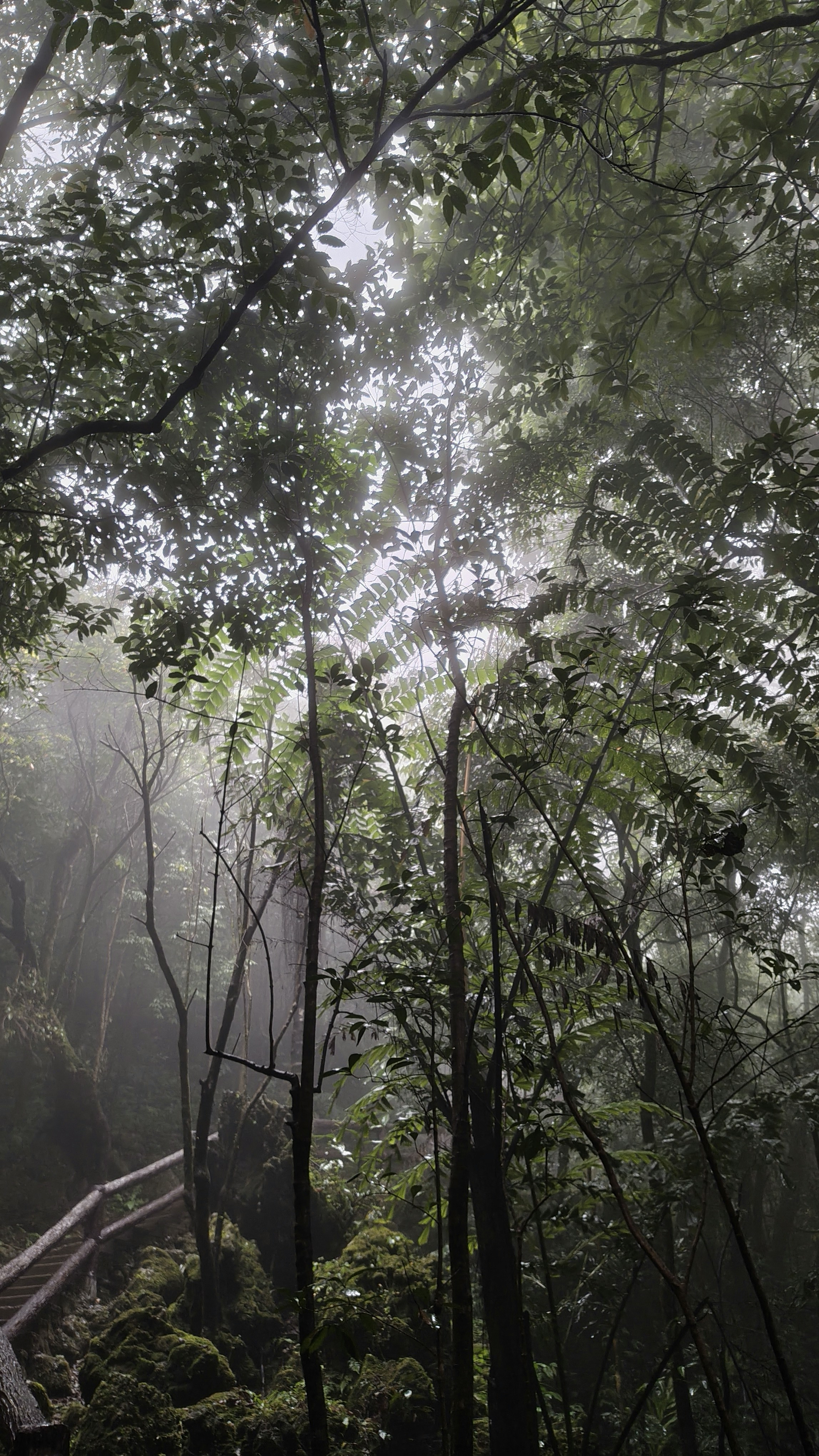 meghalaya16