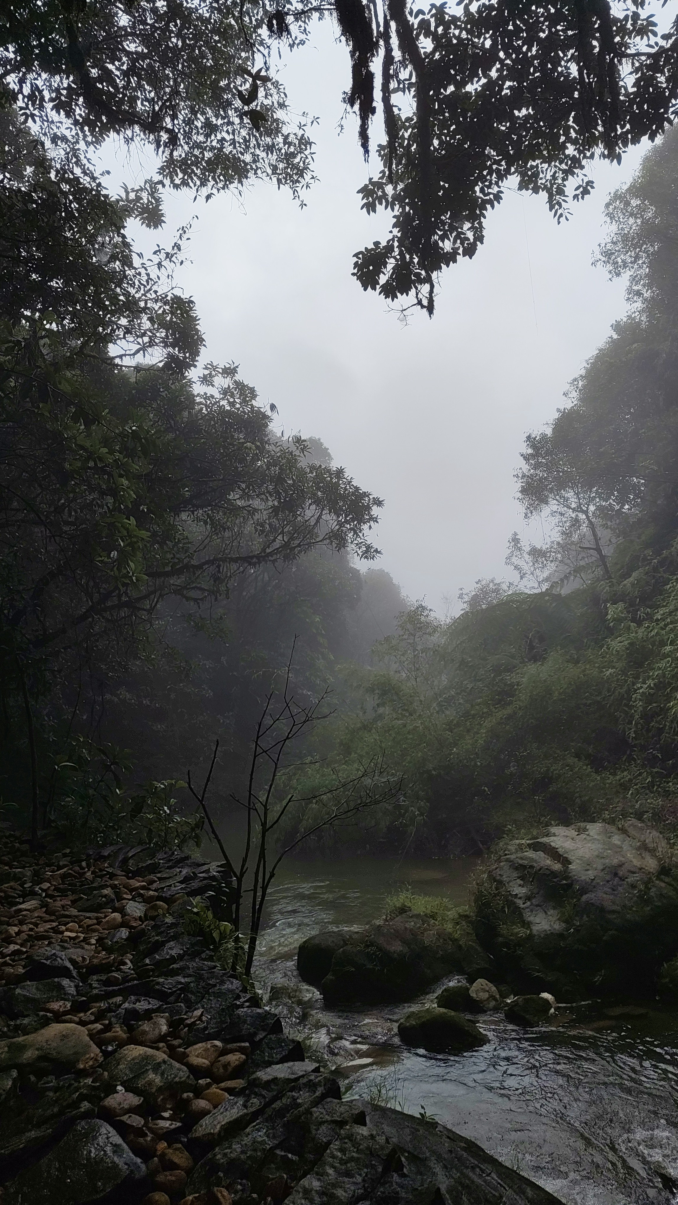 meghalaya15