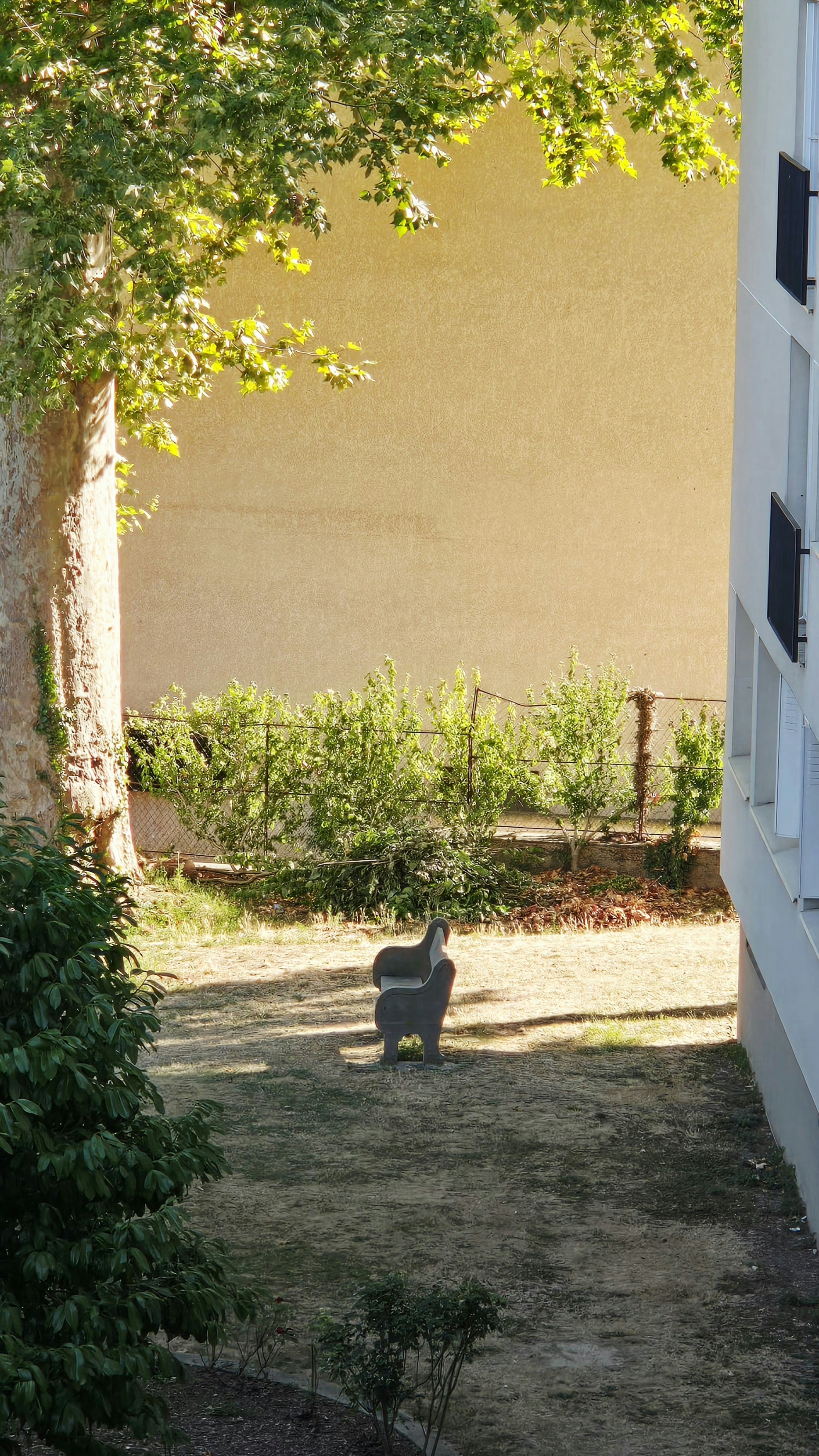 A stone bench in a sunlit yard beside a large tree and building.
