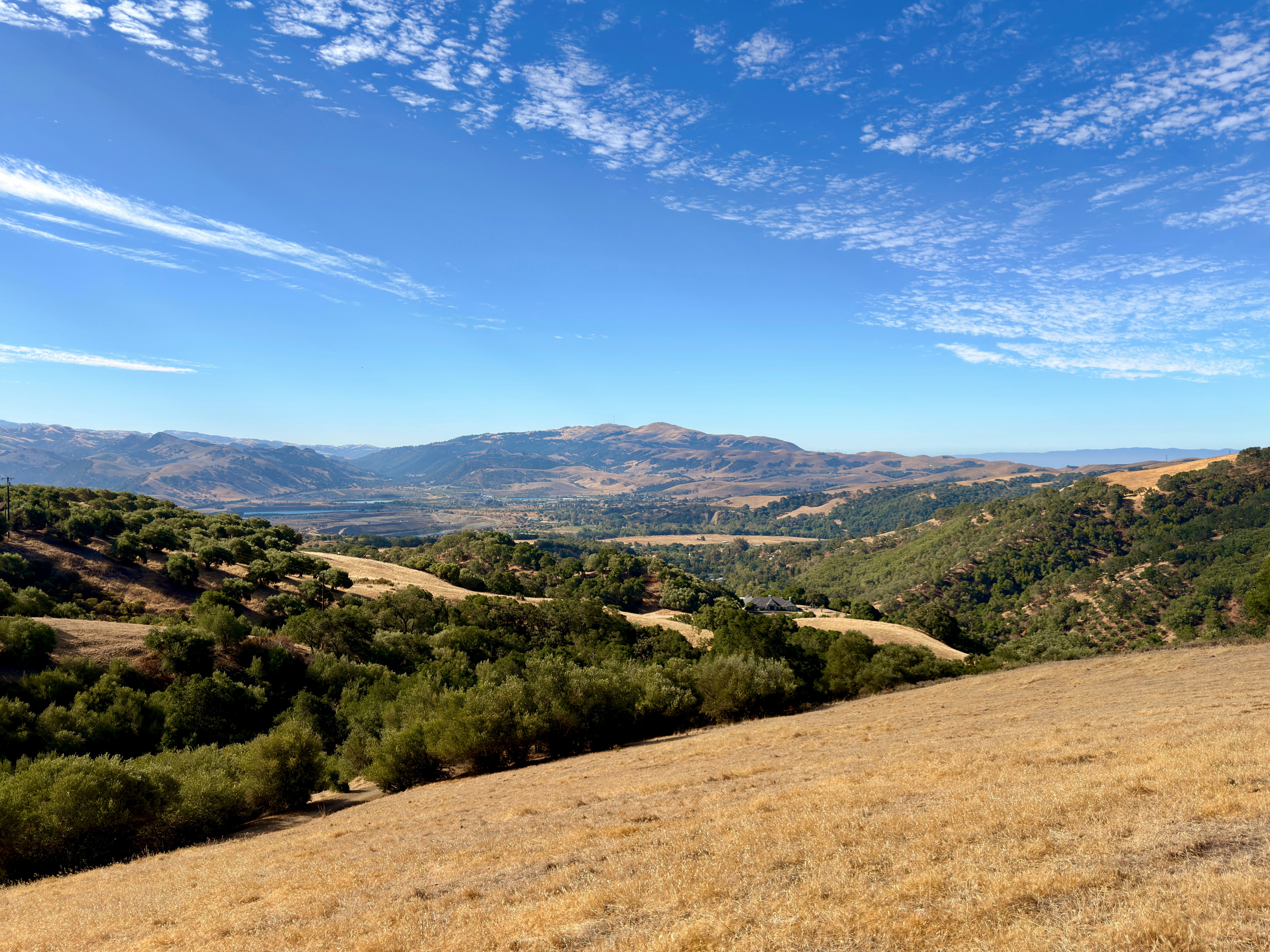 Rolling golden hills and green oak trees under a bright blue sky