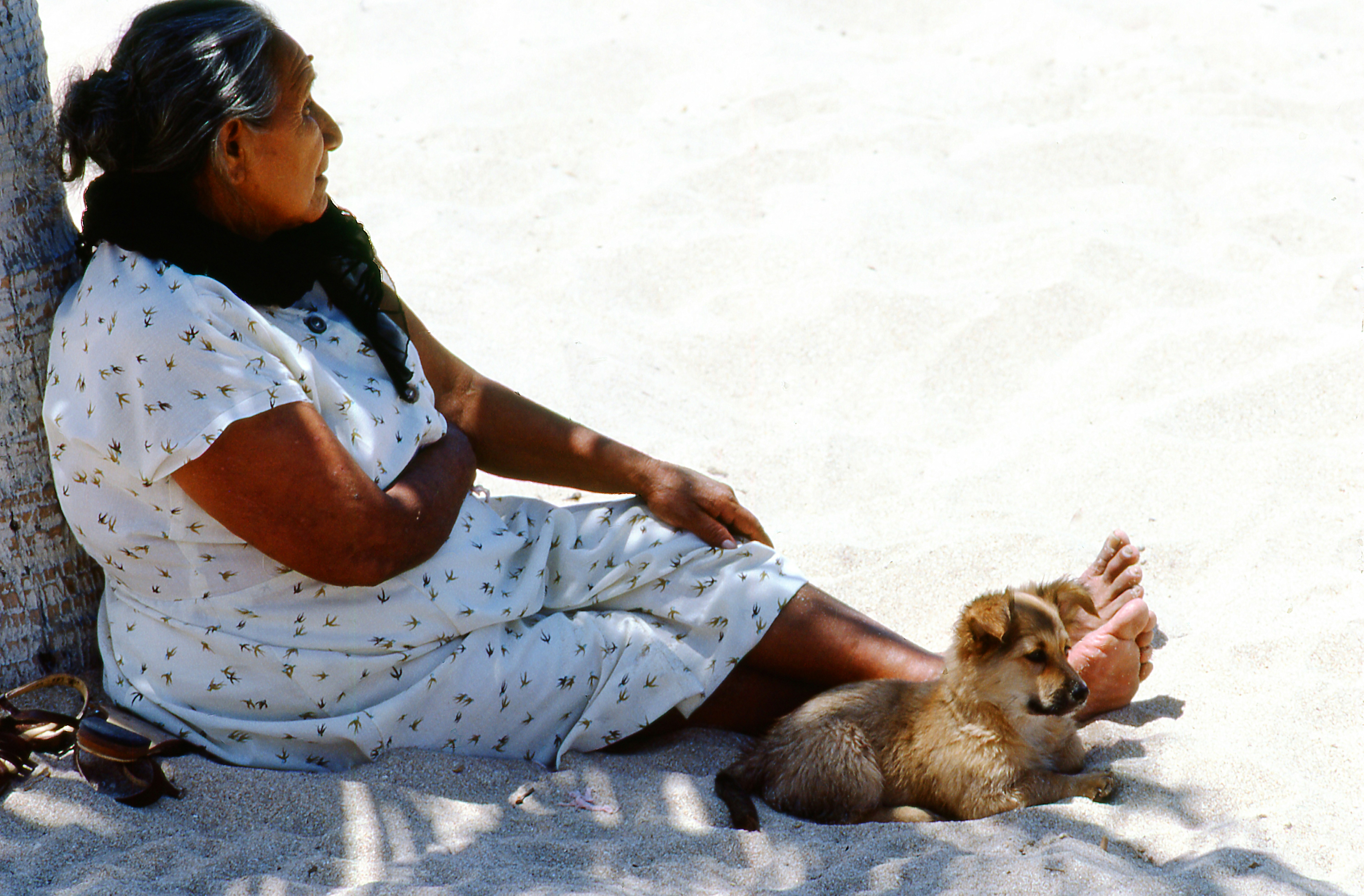 An older woman in a white patterned dress resting on sand beside a puppy