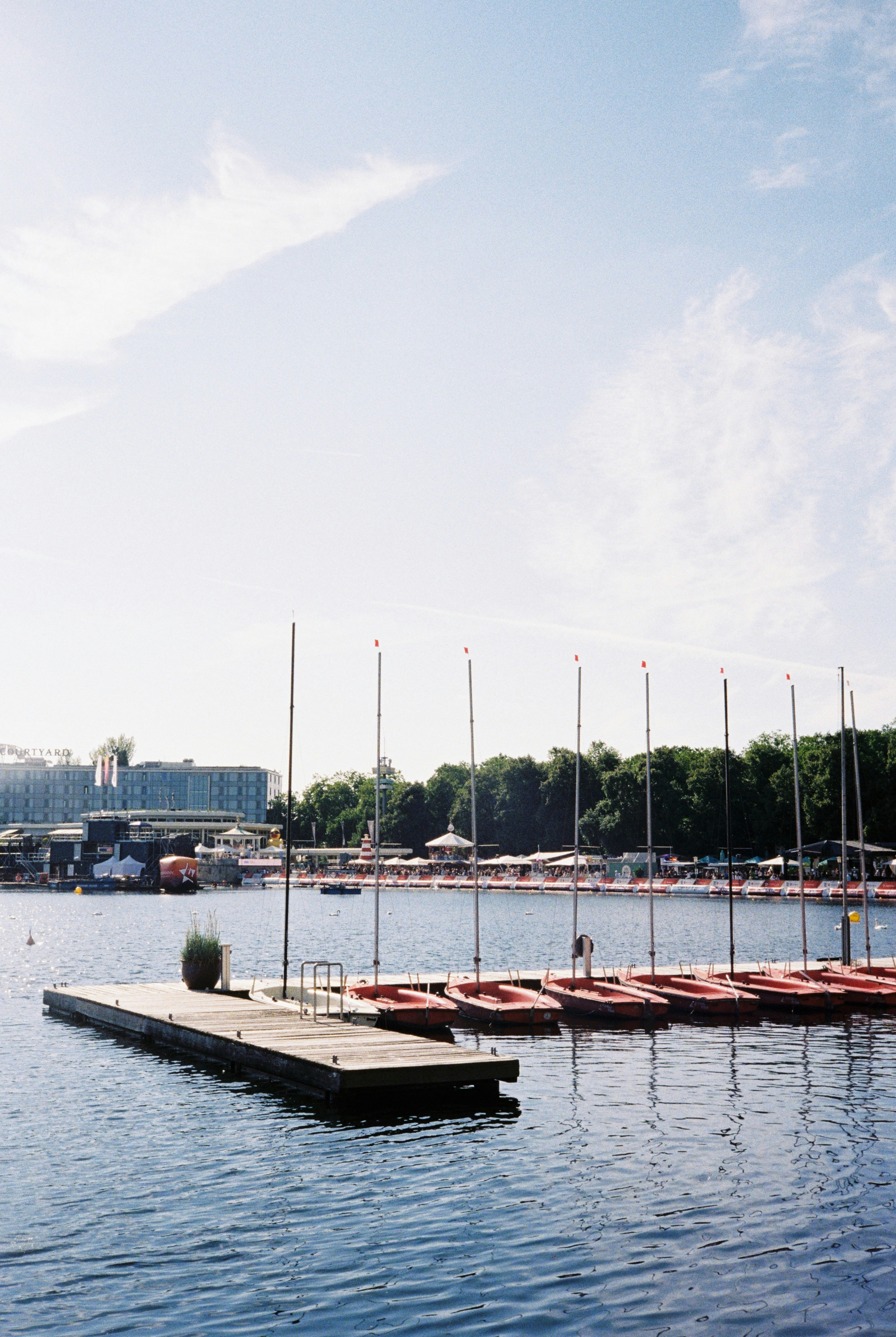 A row of small red sailboats moored at a wooden pier on a lake.