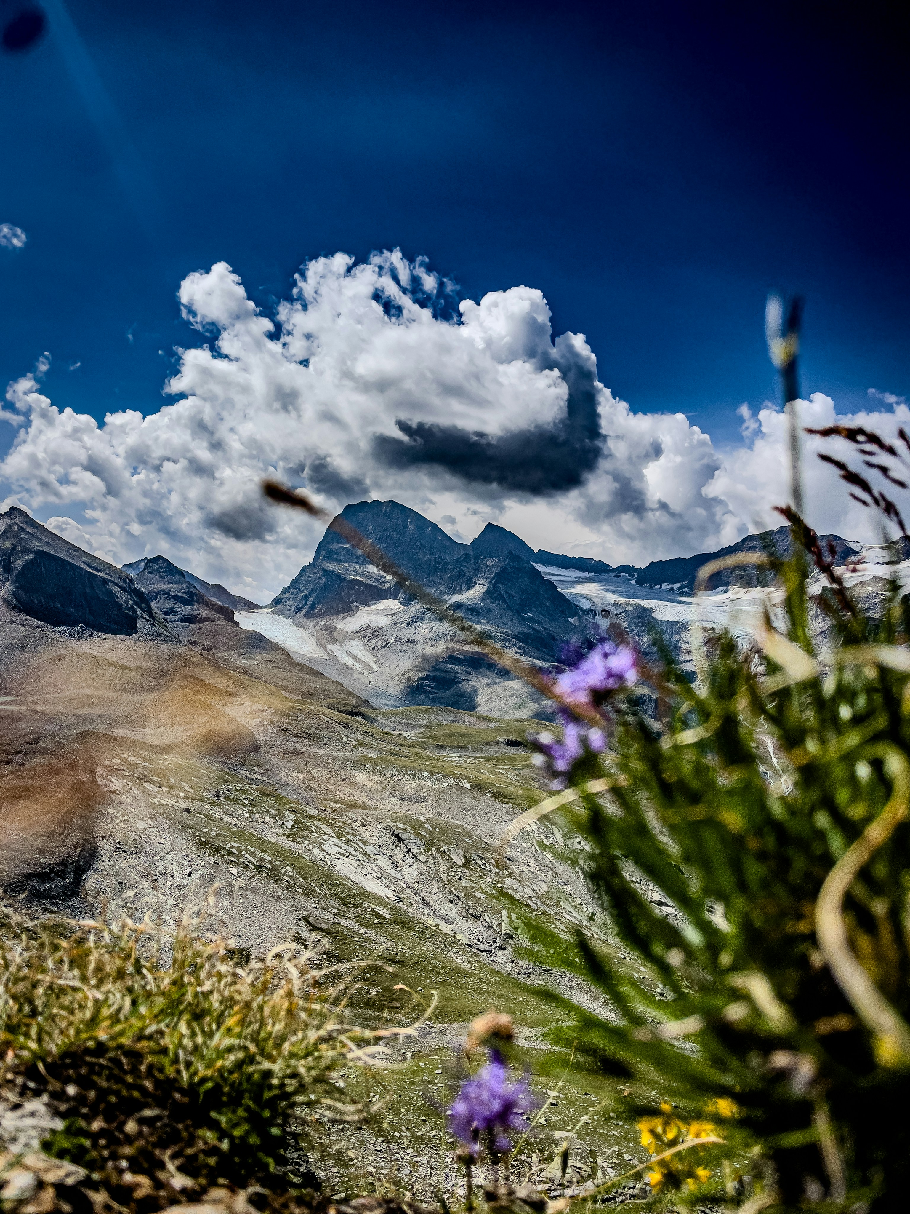 Purple wildflowers in the foreground of a rocky mountain landscape under a cloudy sky.