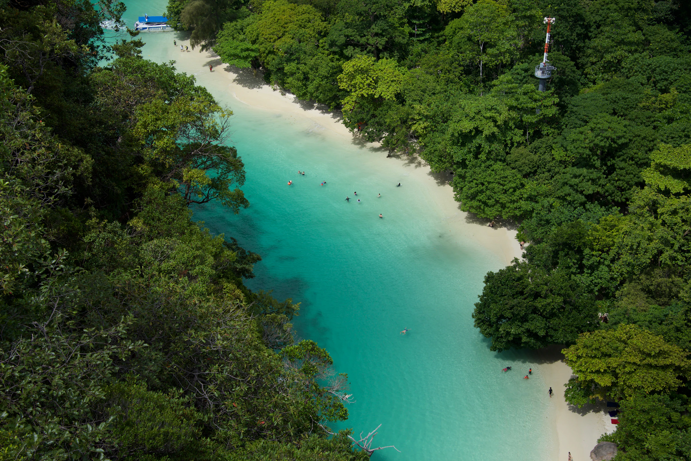 Aerial view of a hidden turquoise cove surrounded by forest