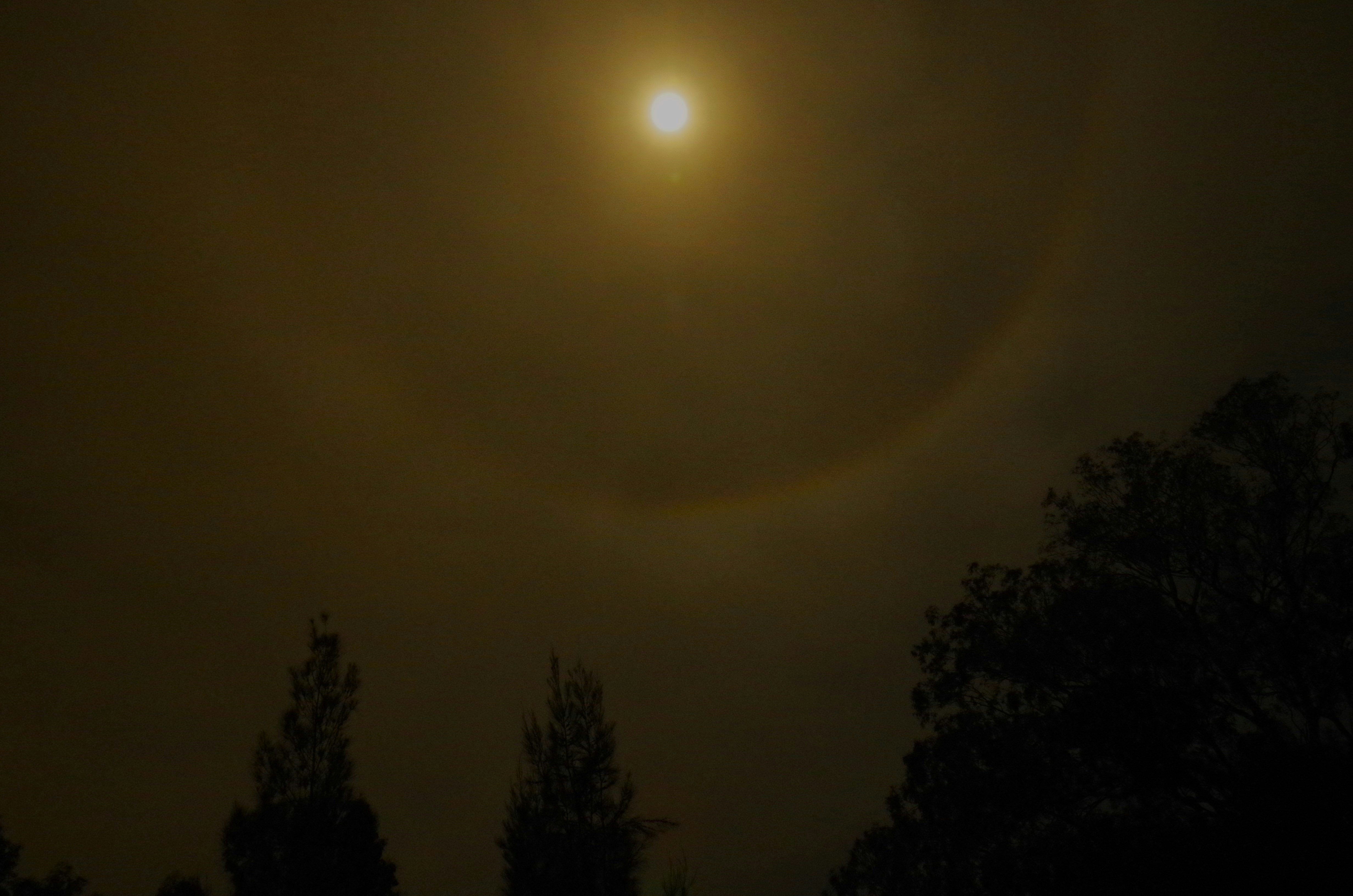 A bright moon with a faint circular halo in a dark night sky.