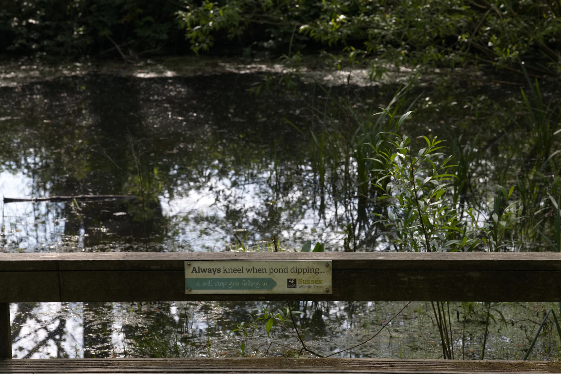 A wooden rail over a pond with a sign that reads Always kneel when pond dipping