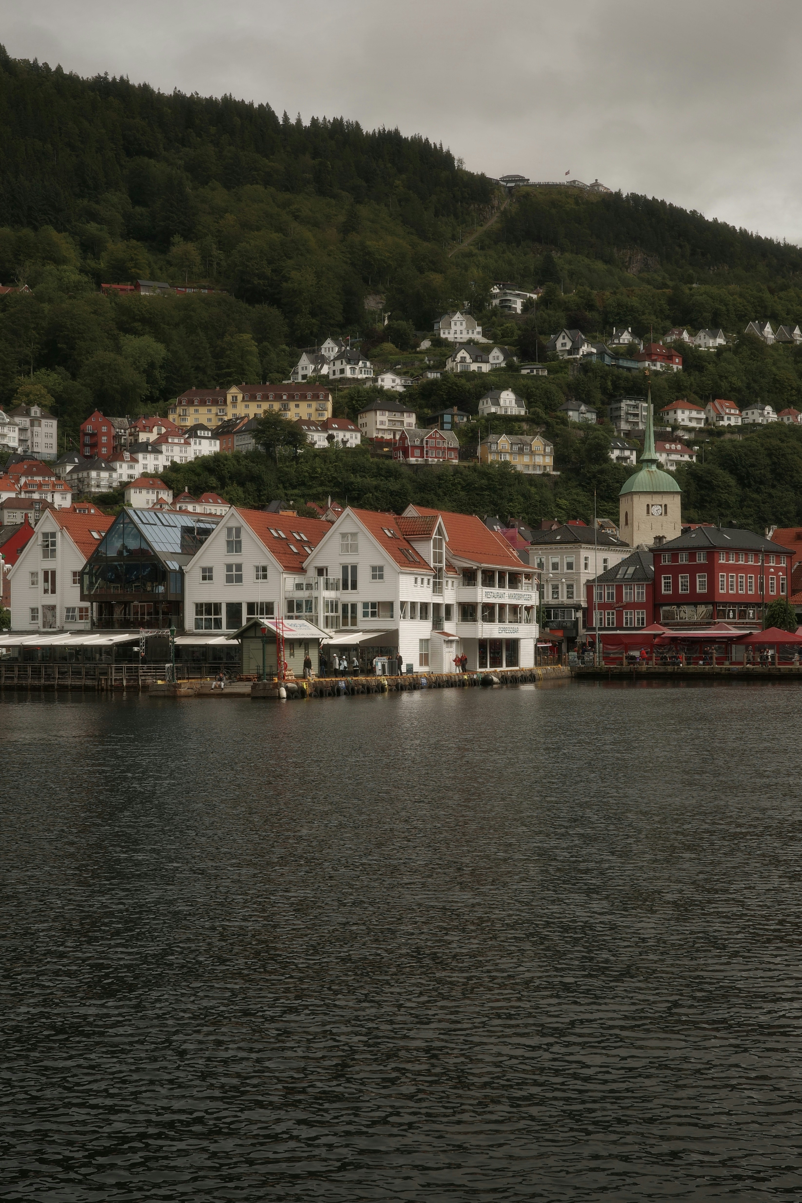 Bunte Holzhäuser entlang des Wassers in Bergen, Norwegen, unter einem bewaldeten Hügel
