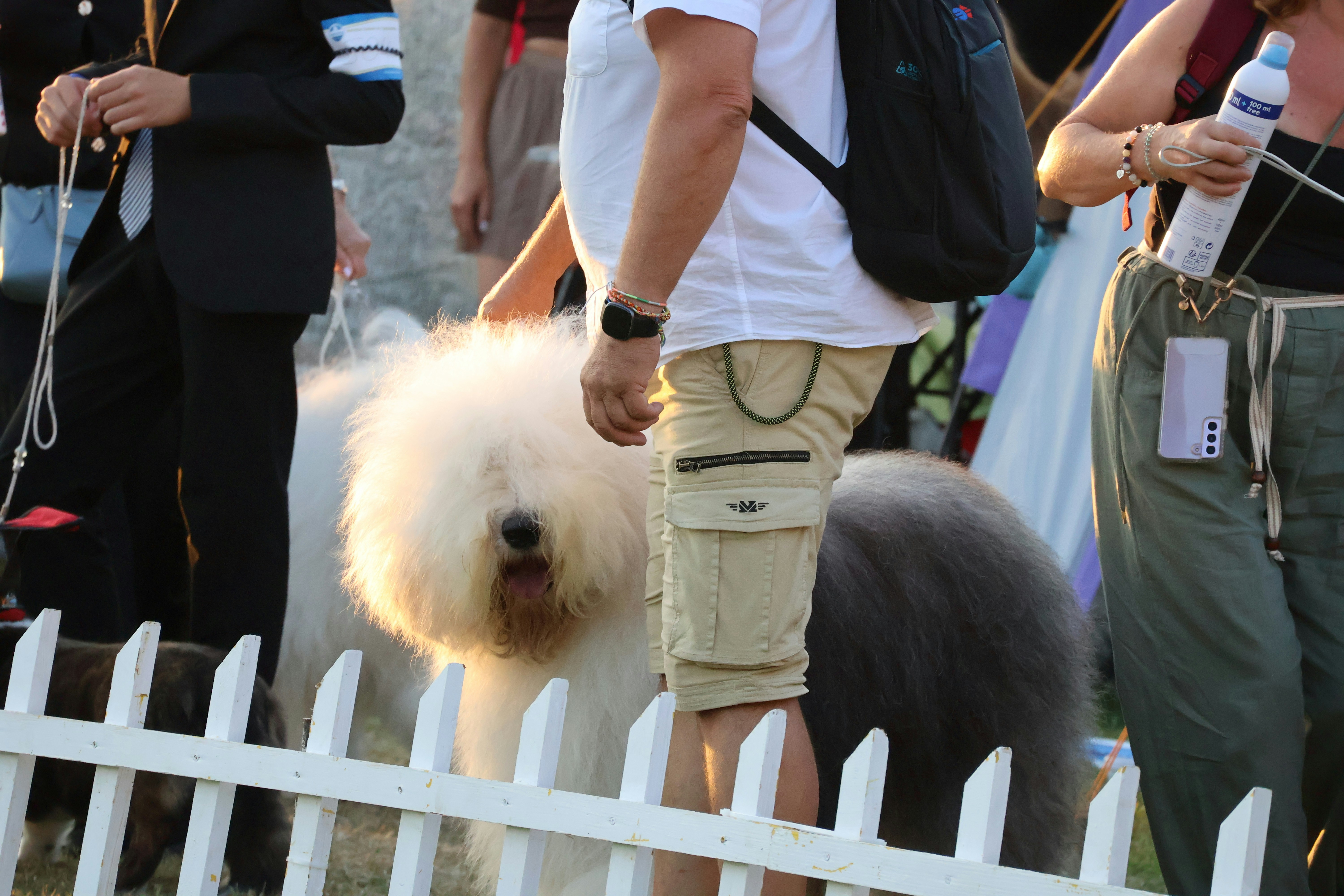 Exposition canine nationale de l'Oise (Margny-lès-Compiègne) — Margny-lès-Compiègne