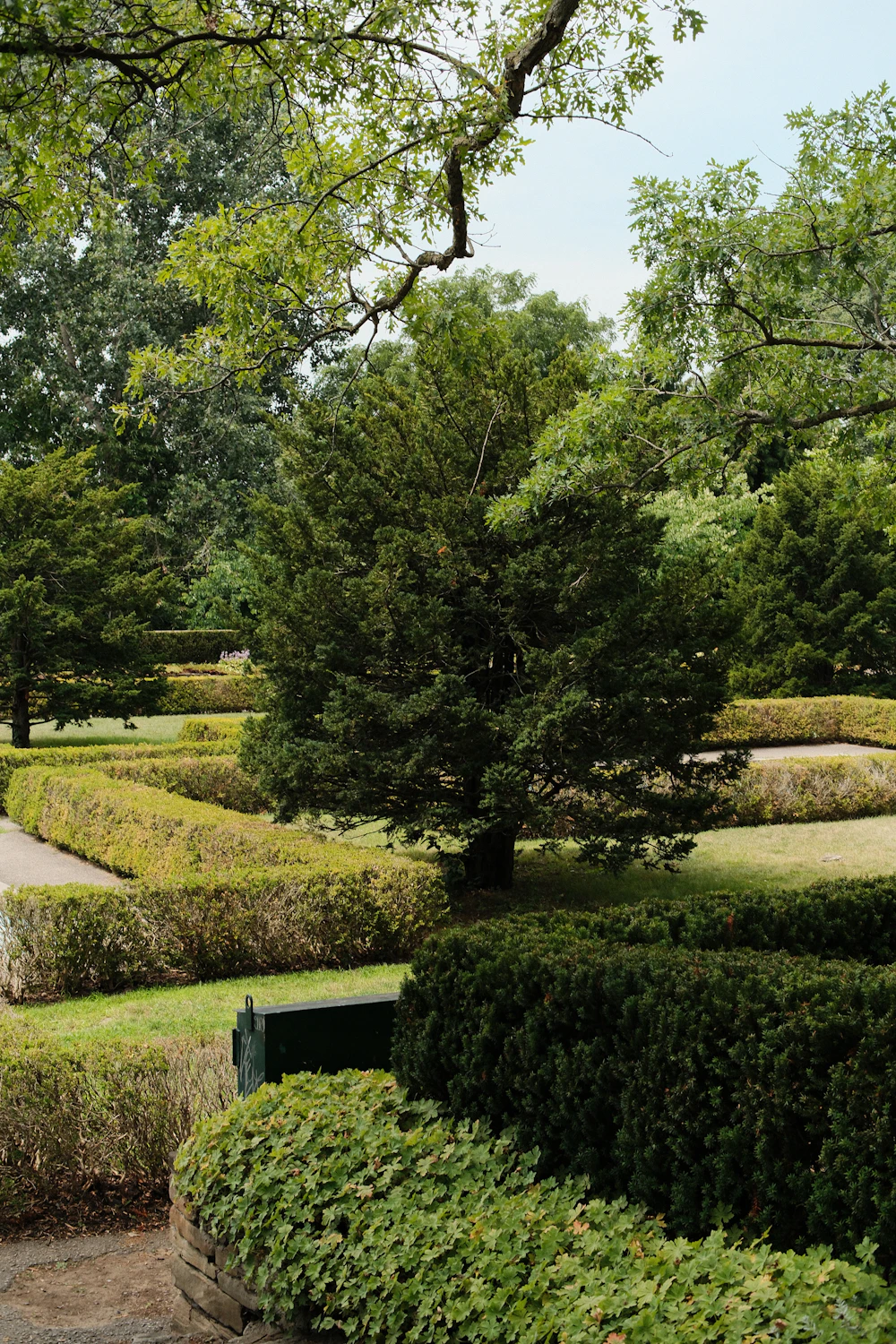 Neatly shaped ornamental hedges and landscape greenery