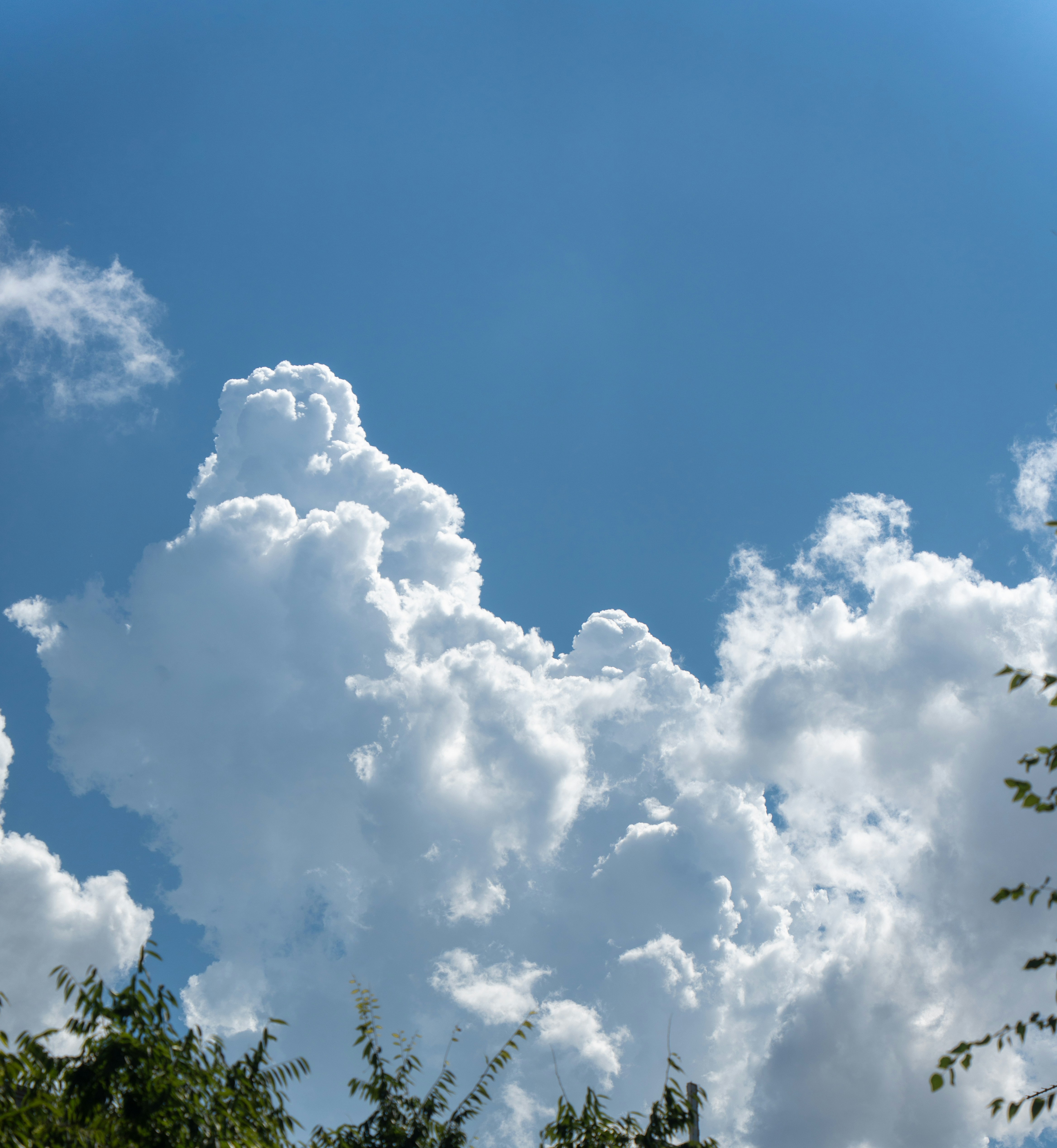 Fluffy white cumulus clouds against a bright blue sky with tree branches below.