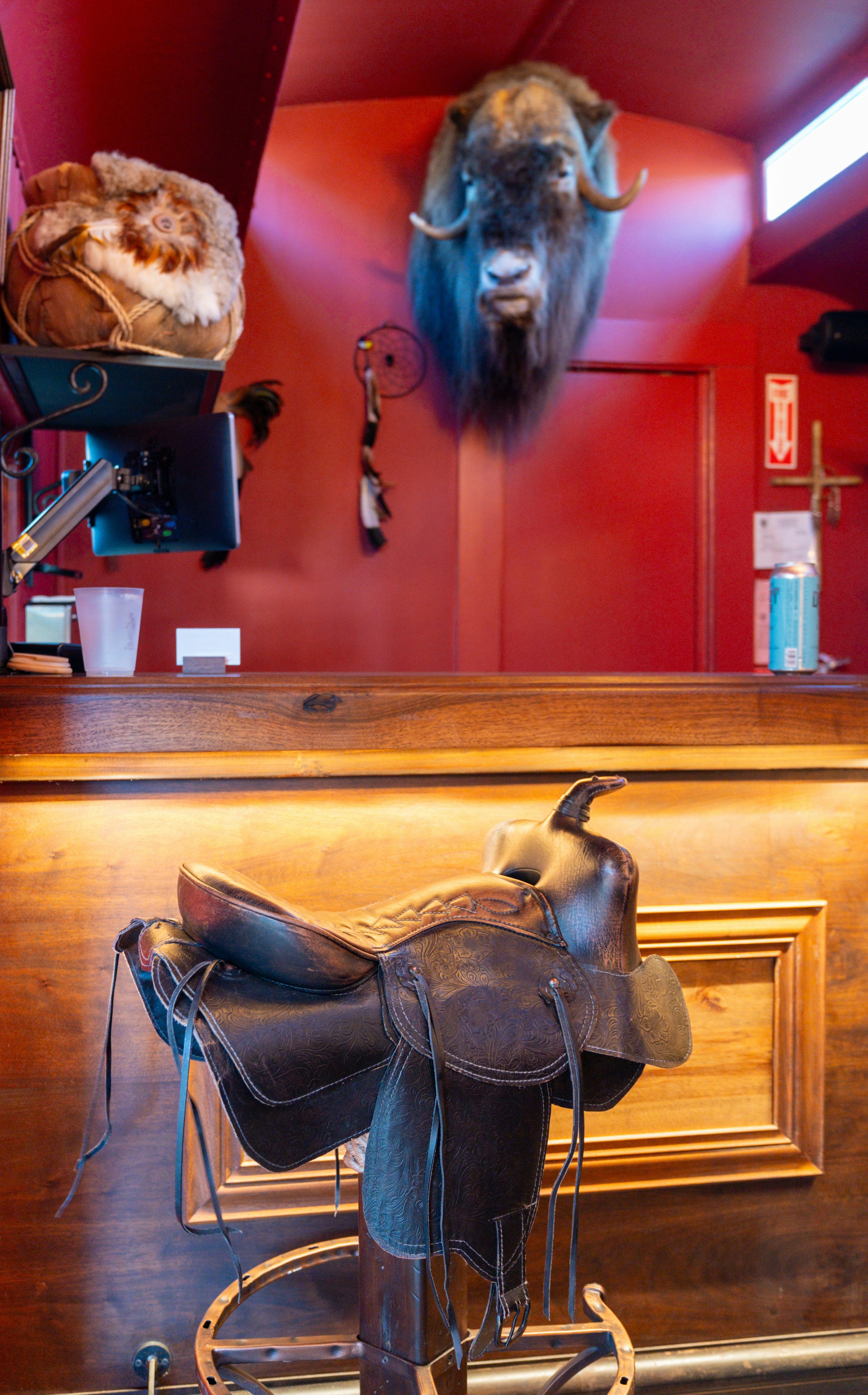 A leather saddle on a stool before a wooden bar with a muskox mount