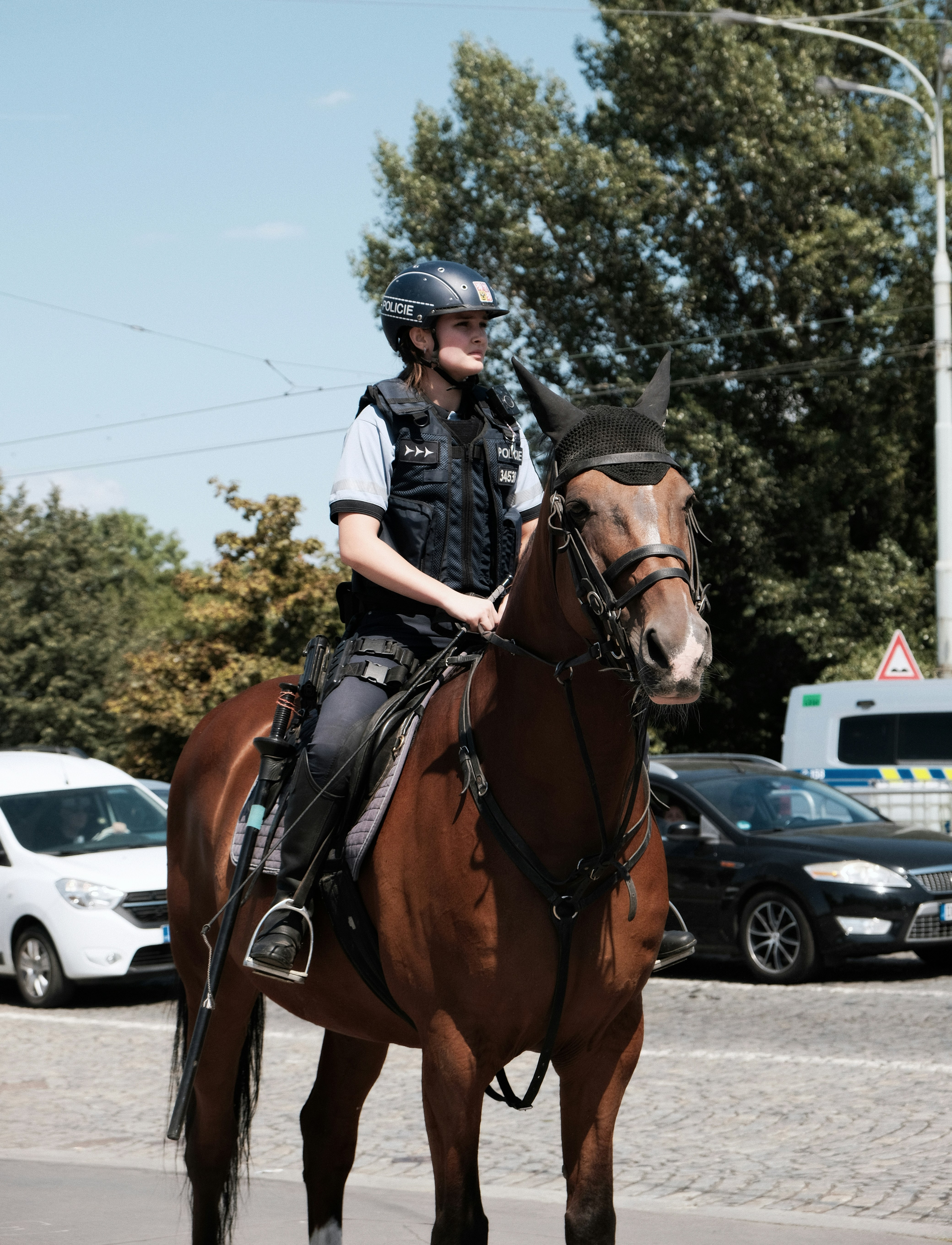 Ein berittener Polizist mit Helm und Weste auf einem braunen Pferd.