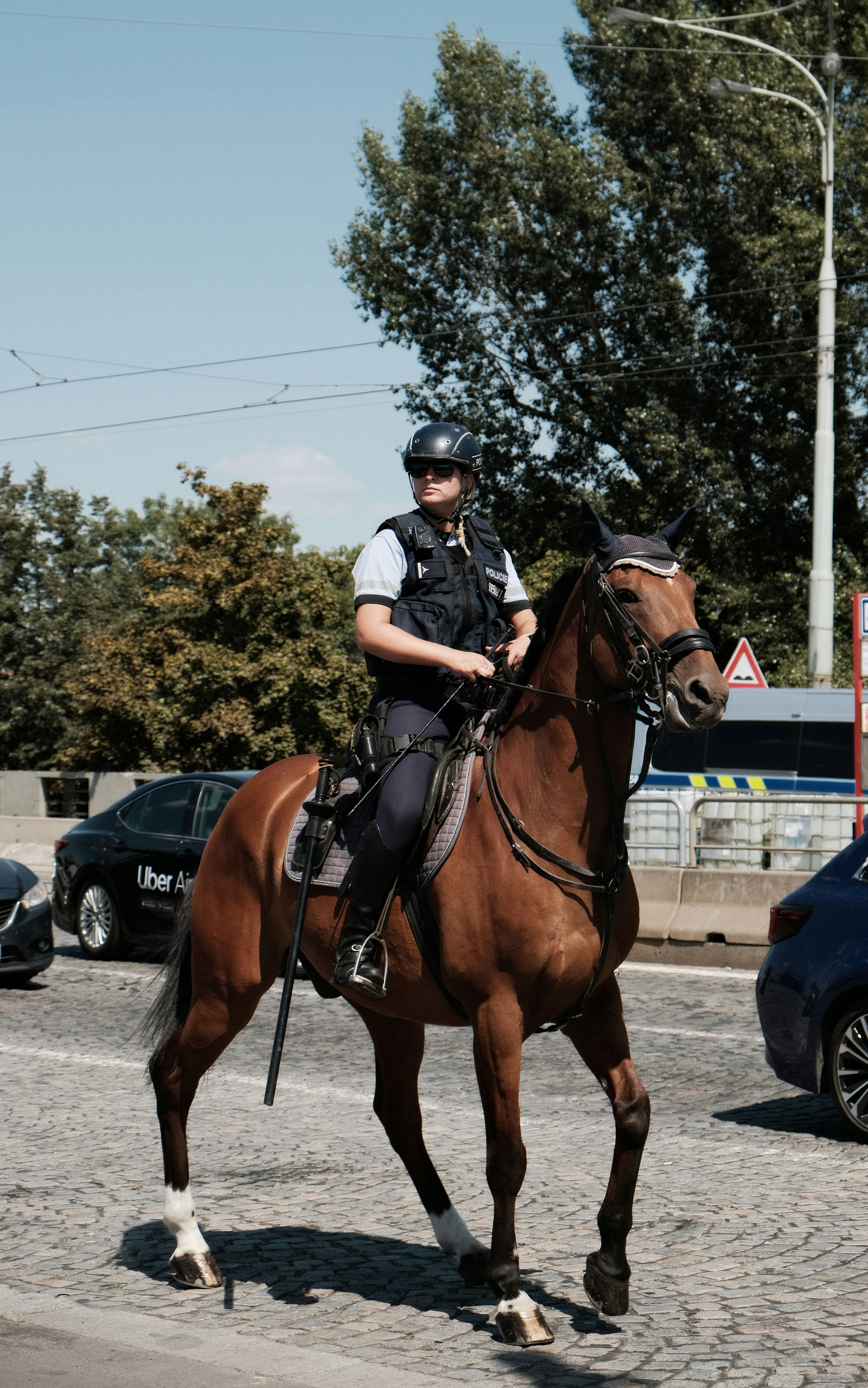 Ein berittener Polizist mit Helm reitet auf einem braunen Pferd auf Kopfsteinpflaster.