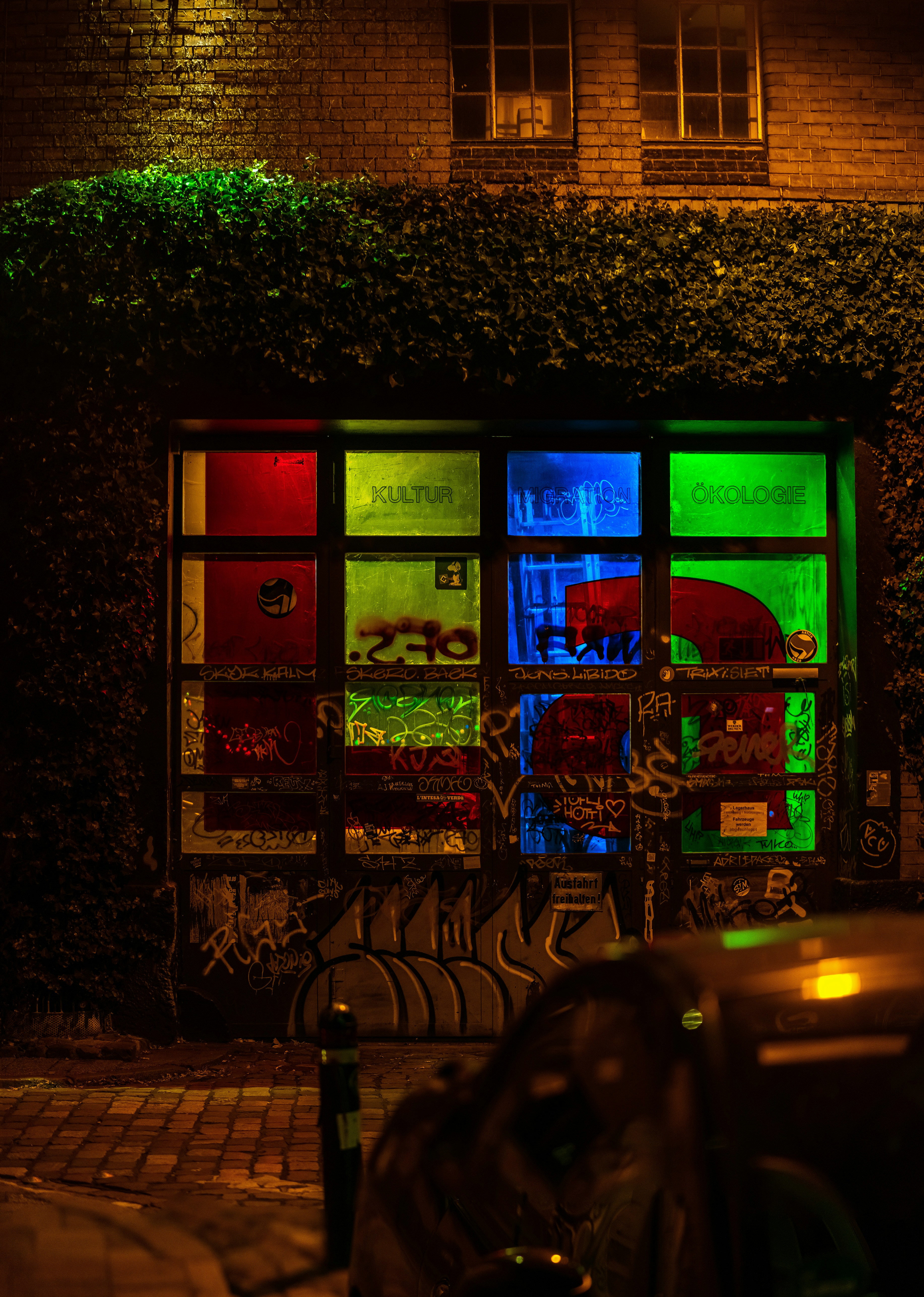 A storefront with colorful graffiti-covered glass panels at night, framed by ivy
