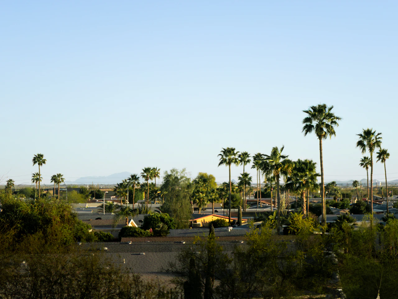 Dating in Phoenix