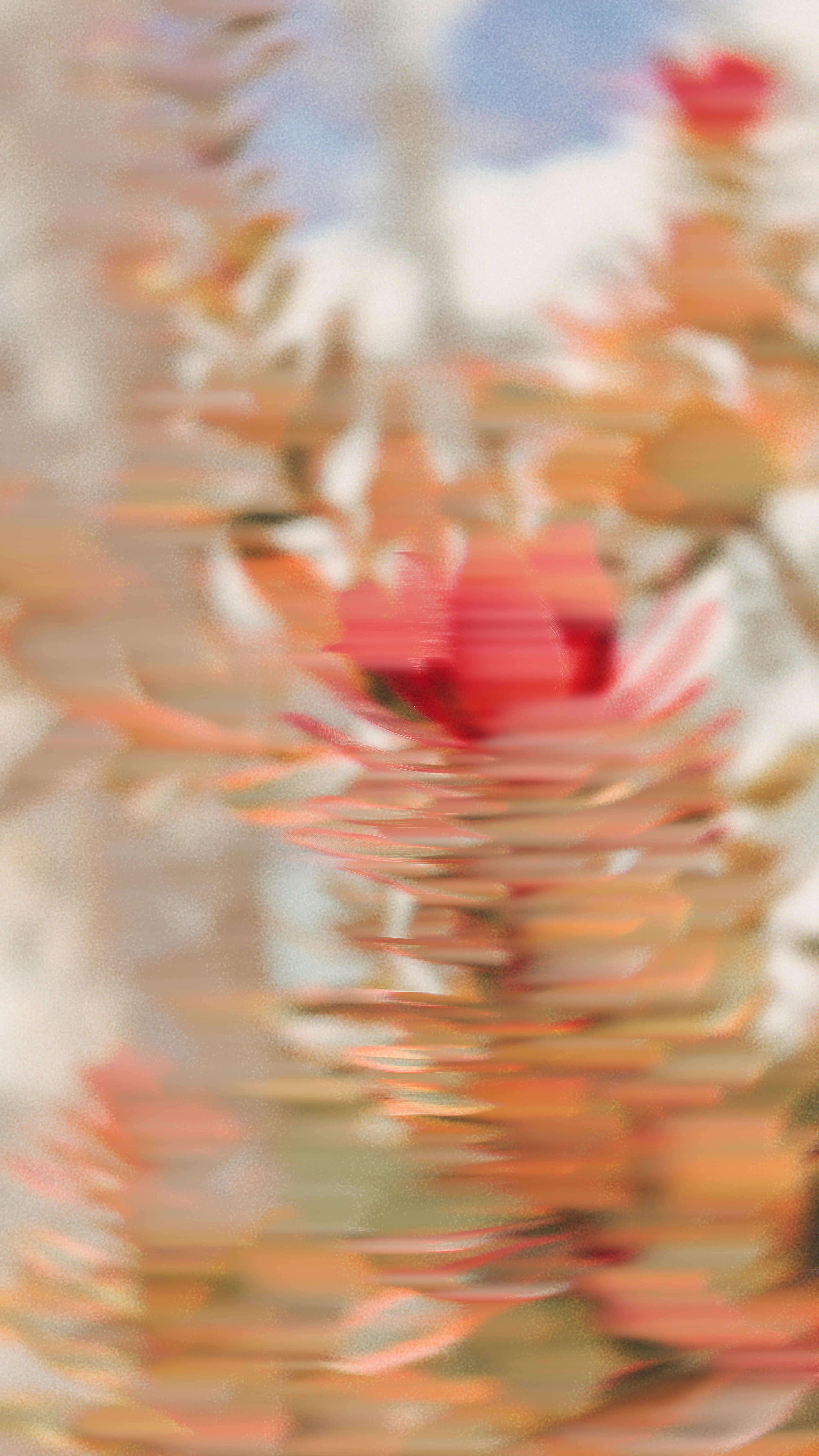 A red flower seen through a textured glass surface with horizontal light streaks