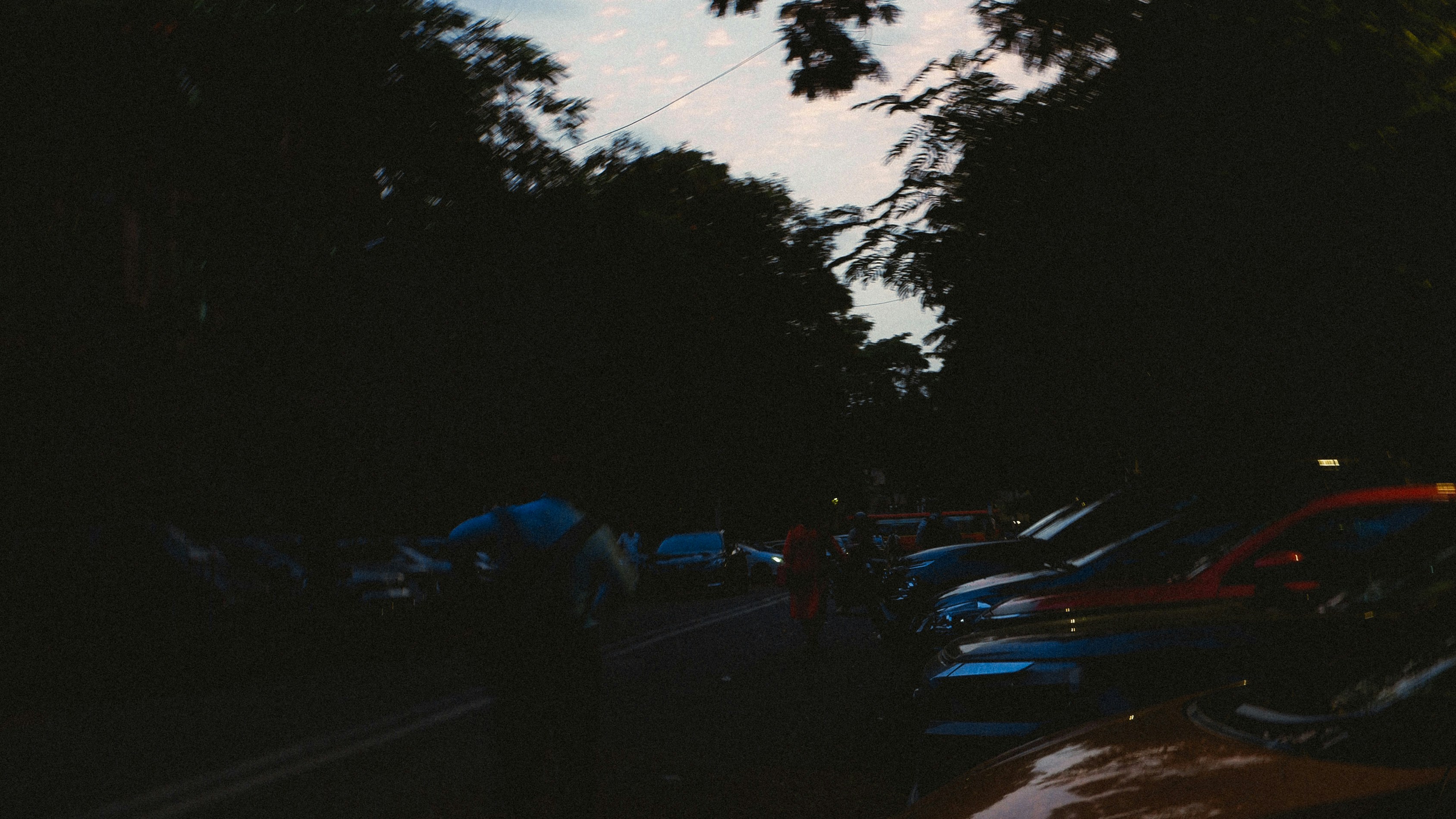 Cars parked along a dark street lined with trees under a dim sky.