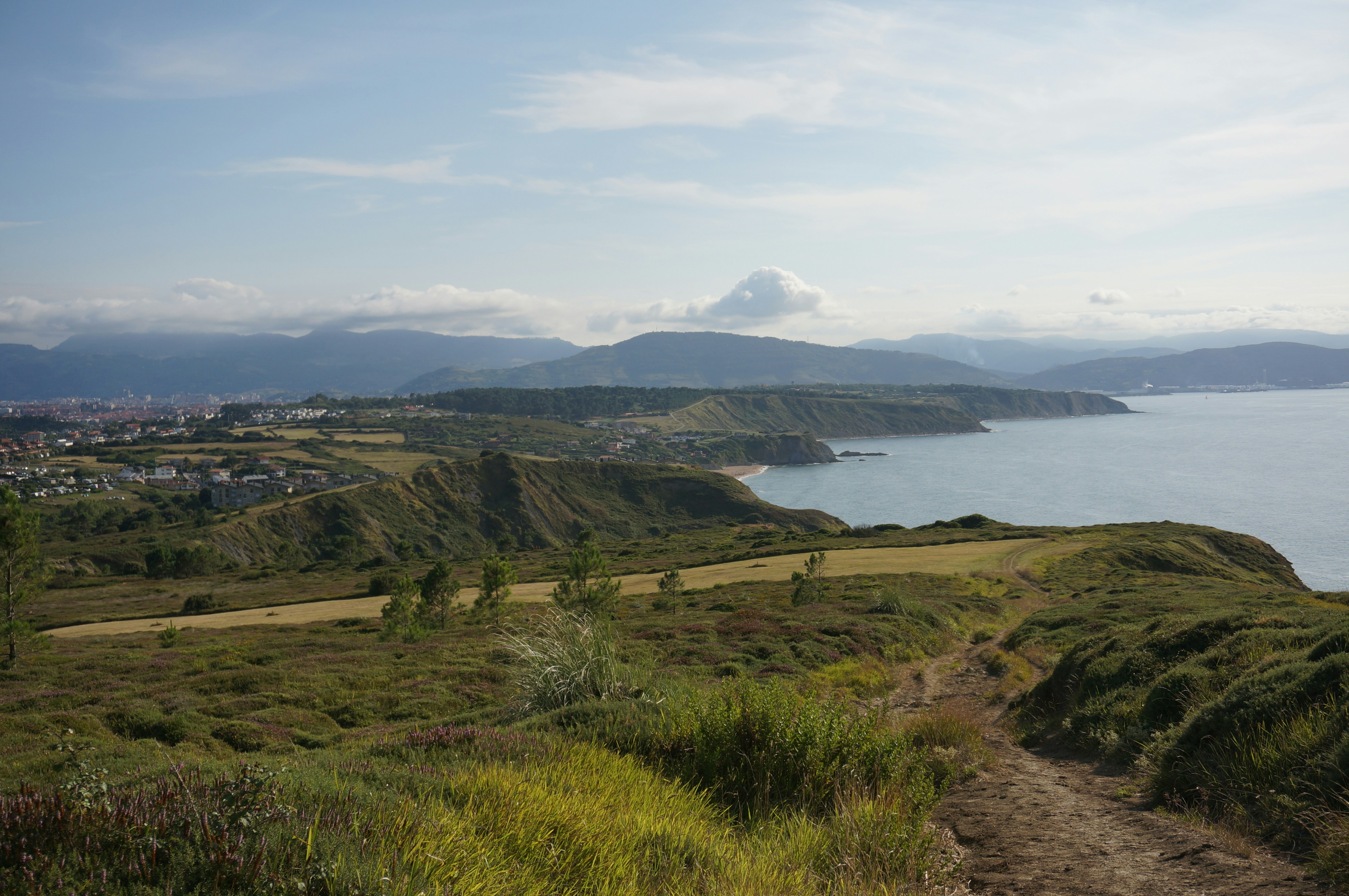 Coastal path overlooking grassy landscape - Free Photo on Unsplash