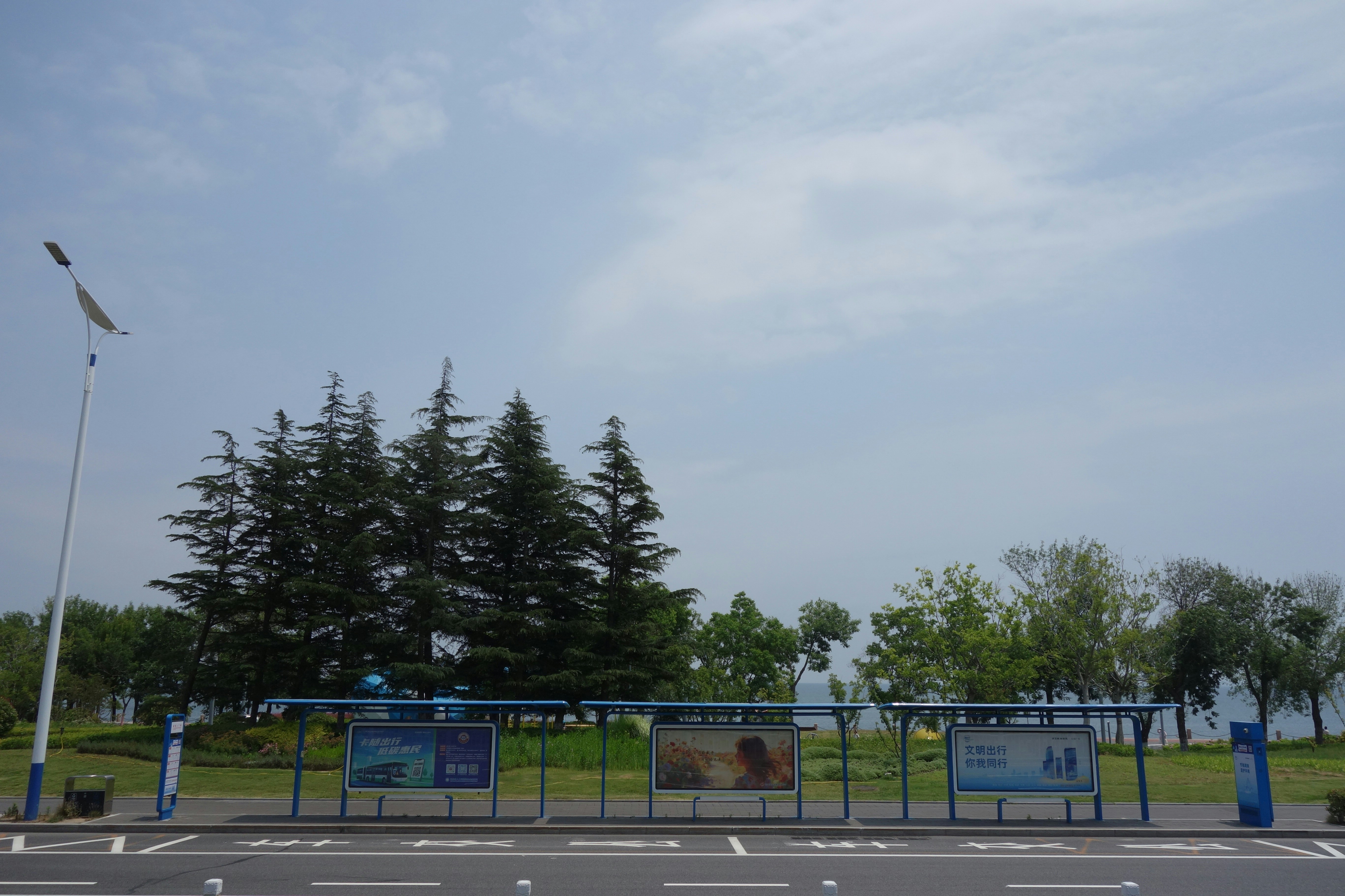 Roadside bus stop with advertising panels beside a park