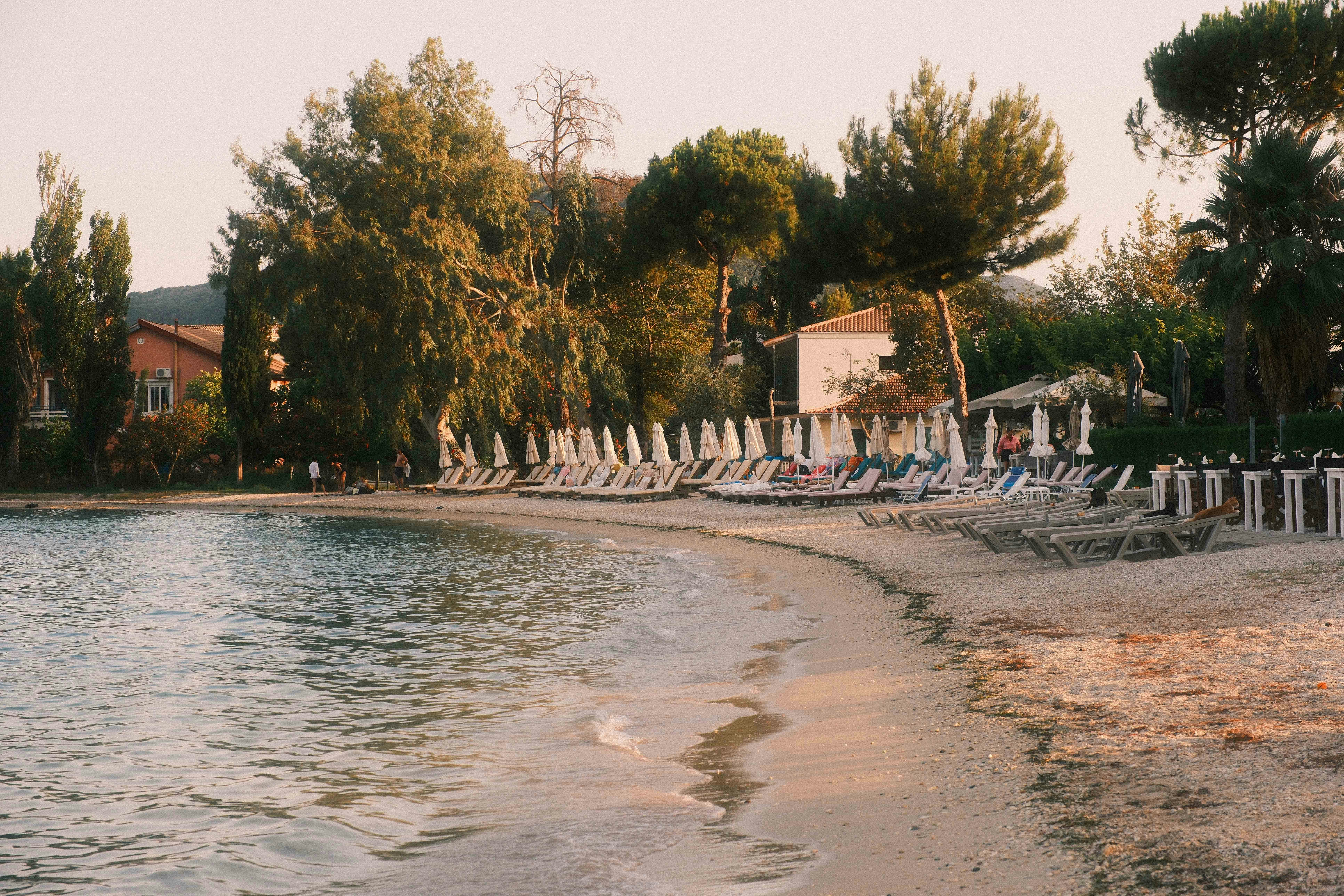Sun loungers and white umbrellas on a sandy beach near trees and buildings