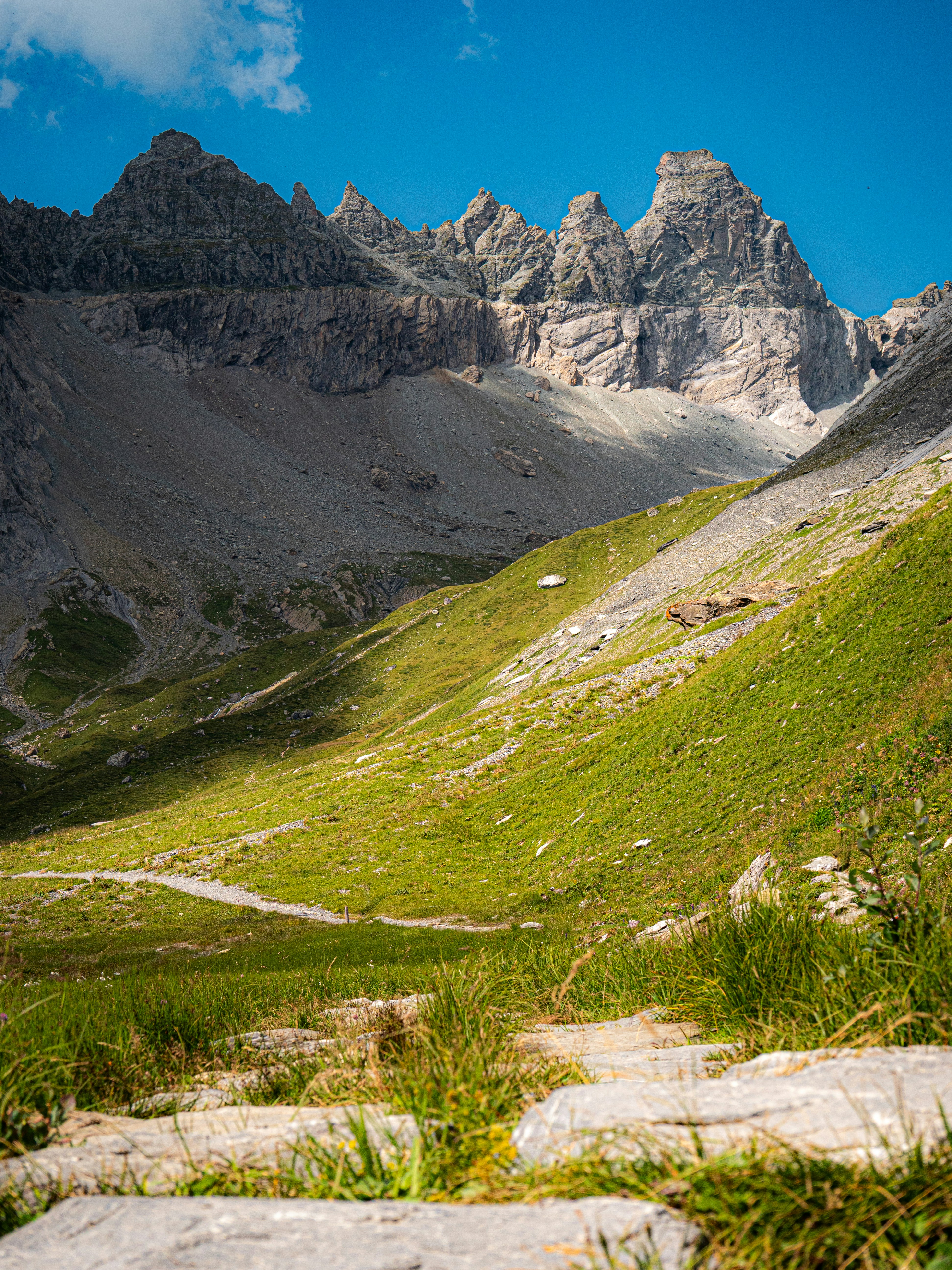 A path across green Unterer Segnesboden below rocky peaks, Flims; landscape image, not the accommodation
