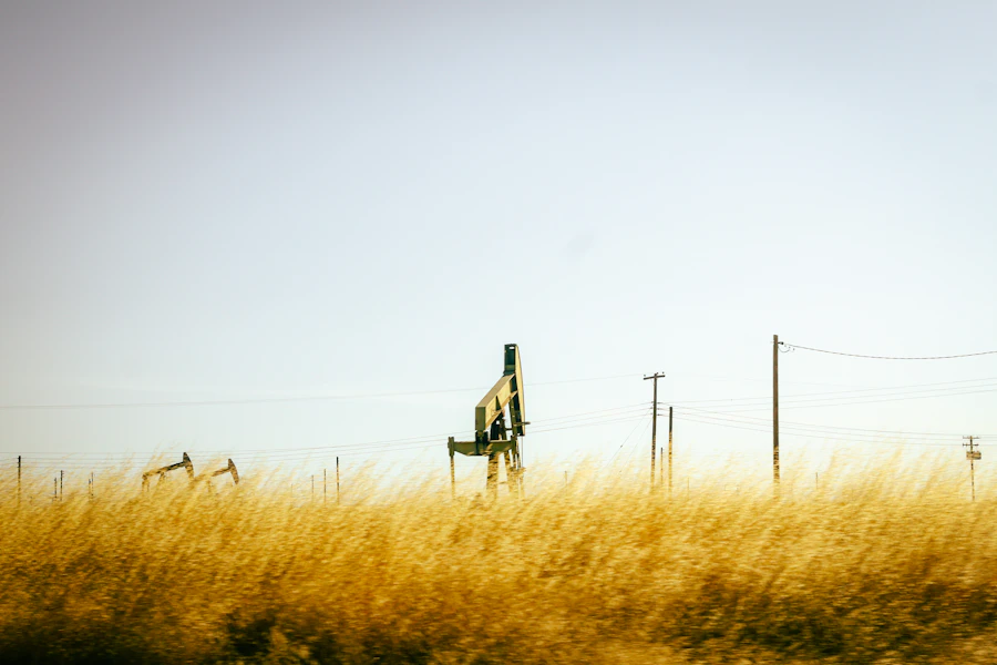 Pumpjacks in dry grass beside a lease road