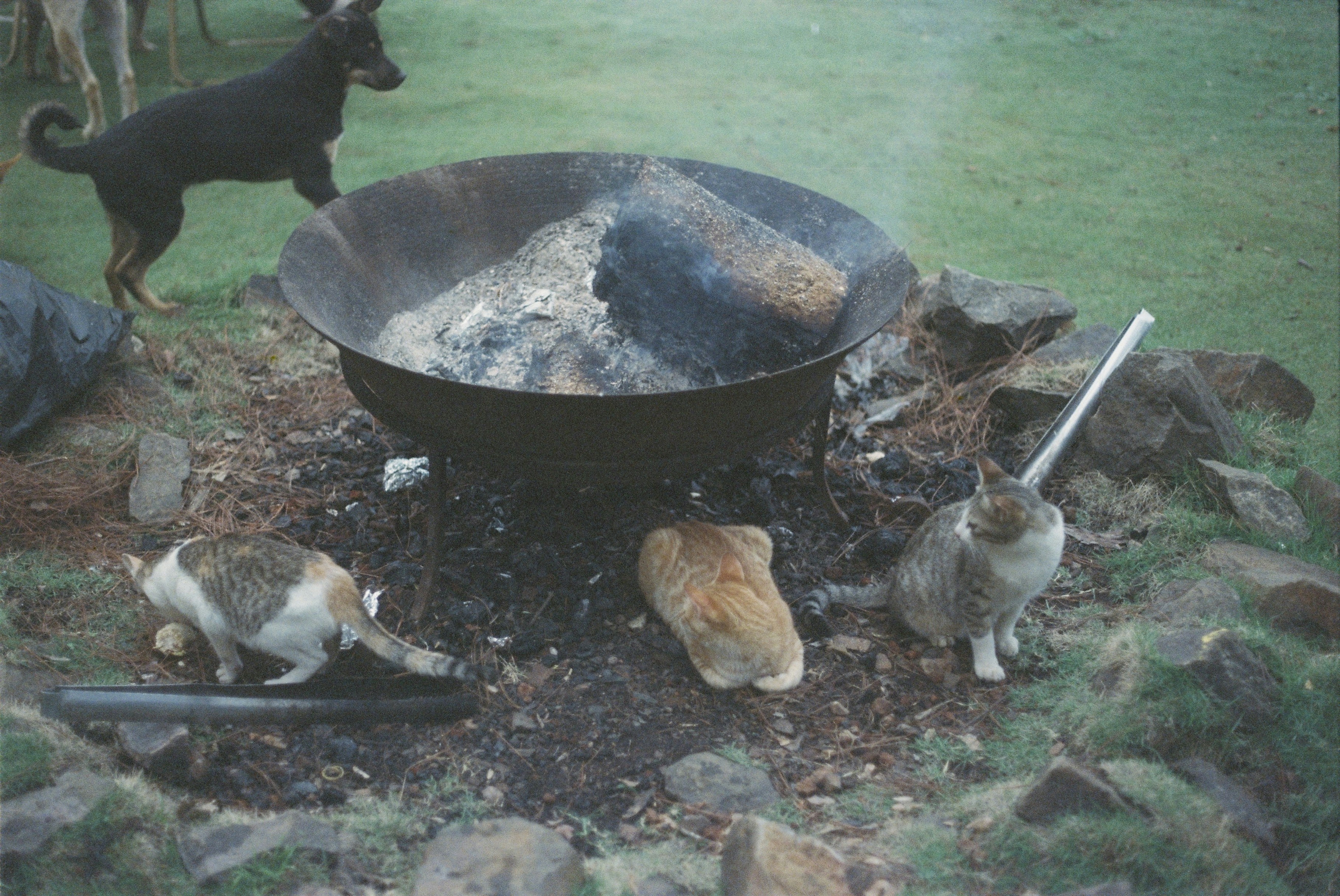 can babies be around fire pit
