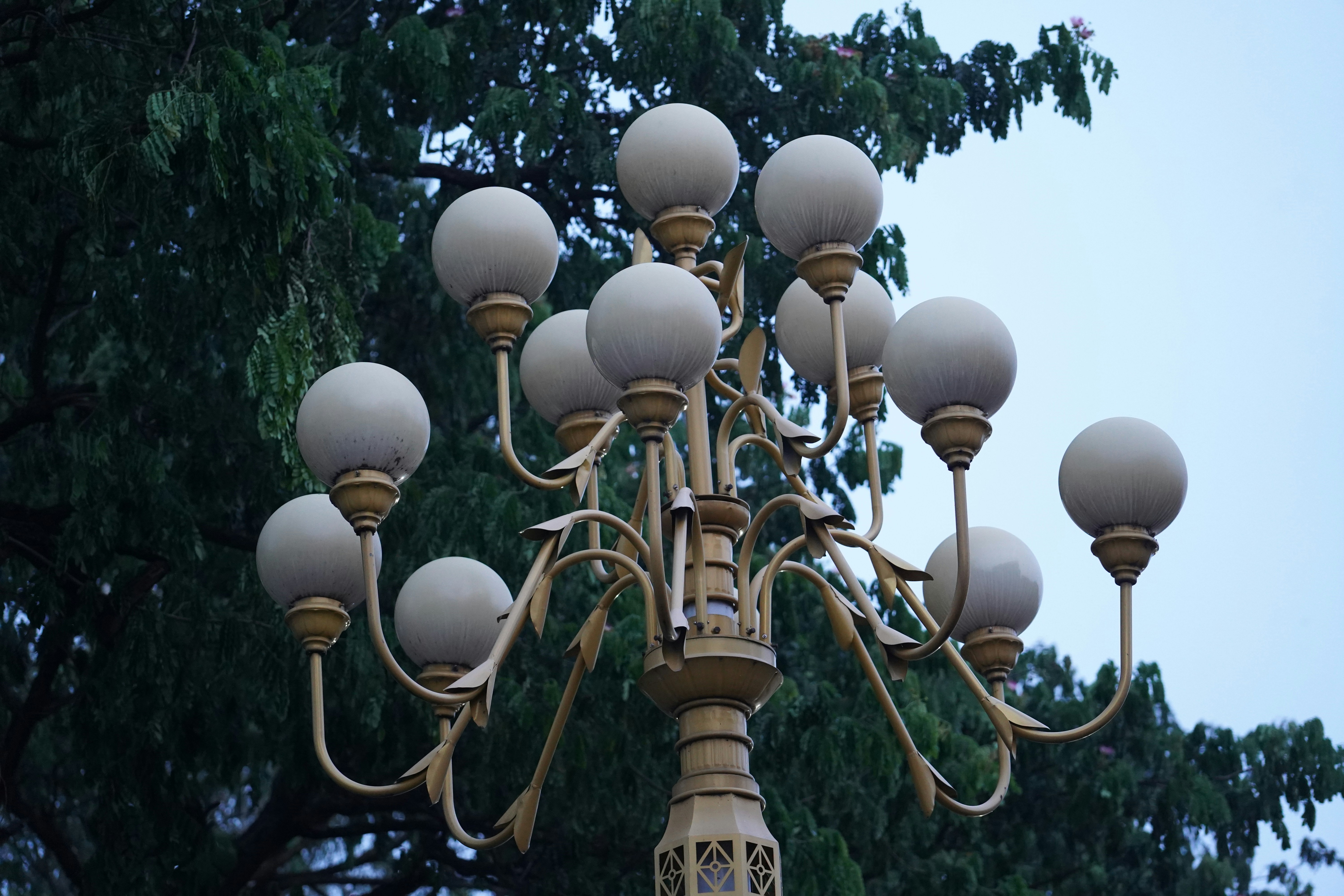 Una farola de varios brazos con globos de cristal esféricos sobre un fondo de árboles oscuros.