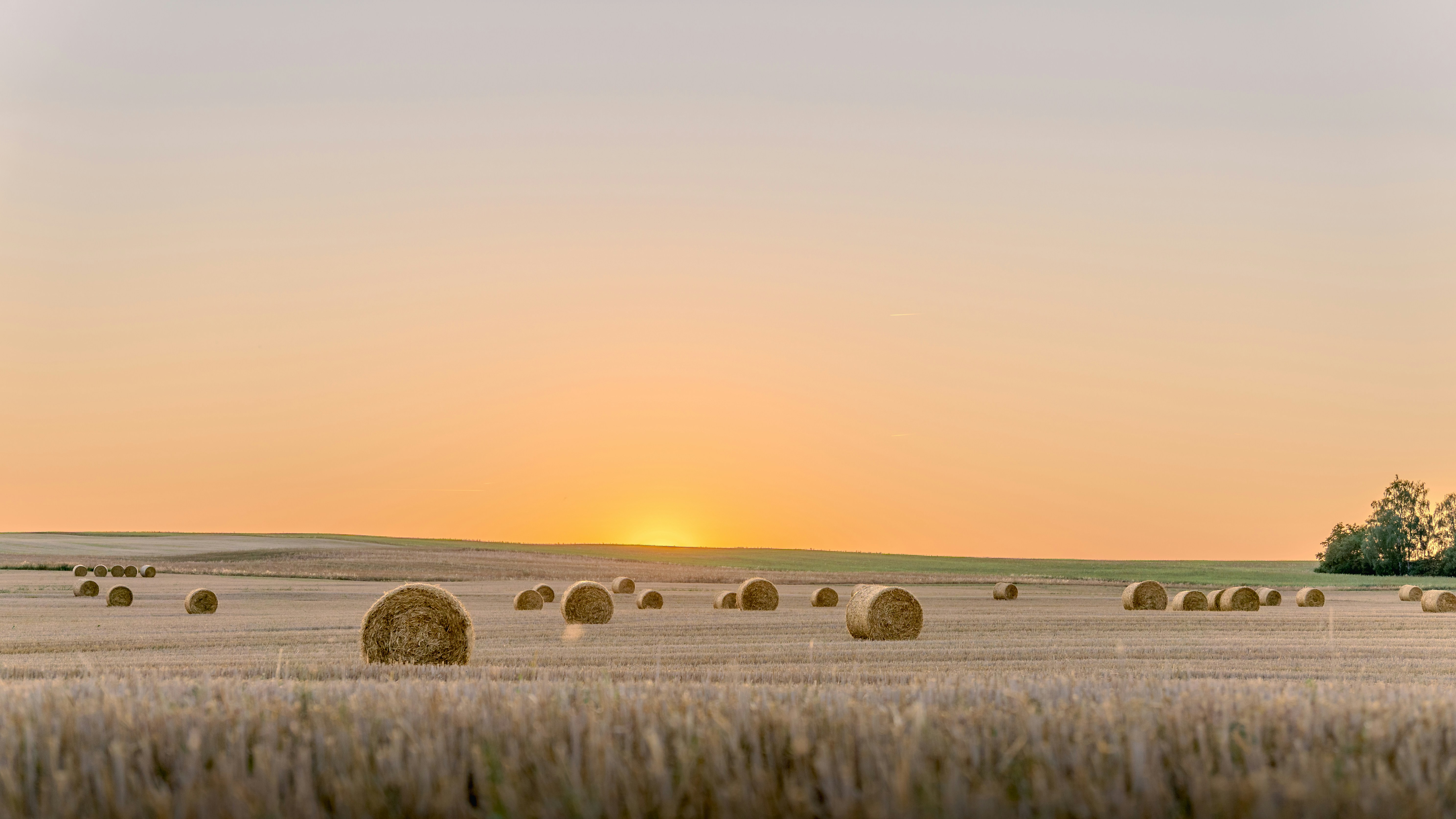 Hay bales in harvested field - Free Photo on Unsplash
