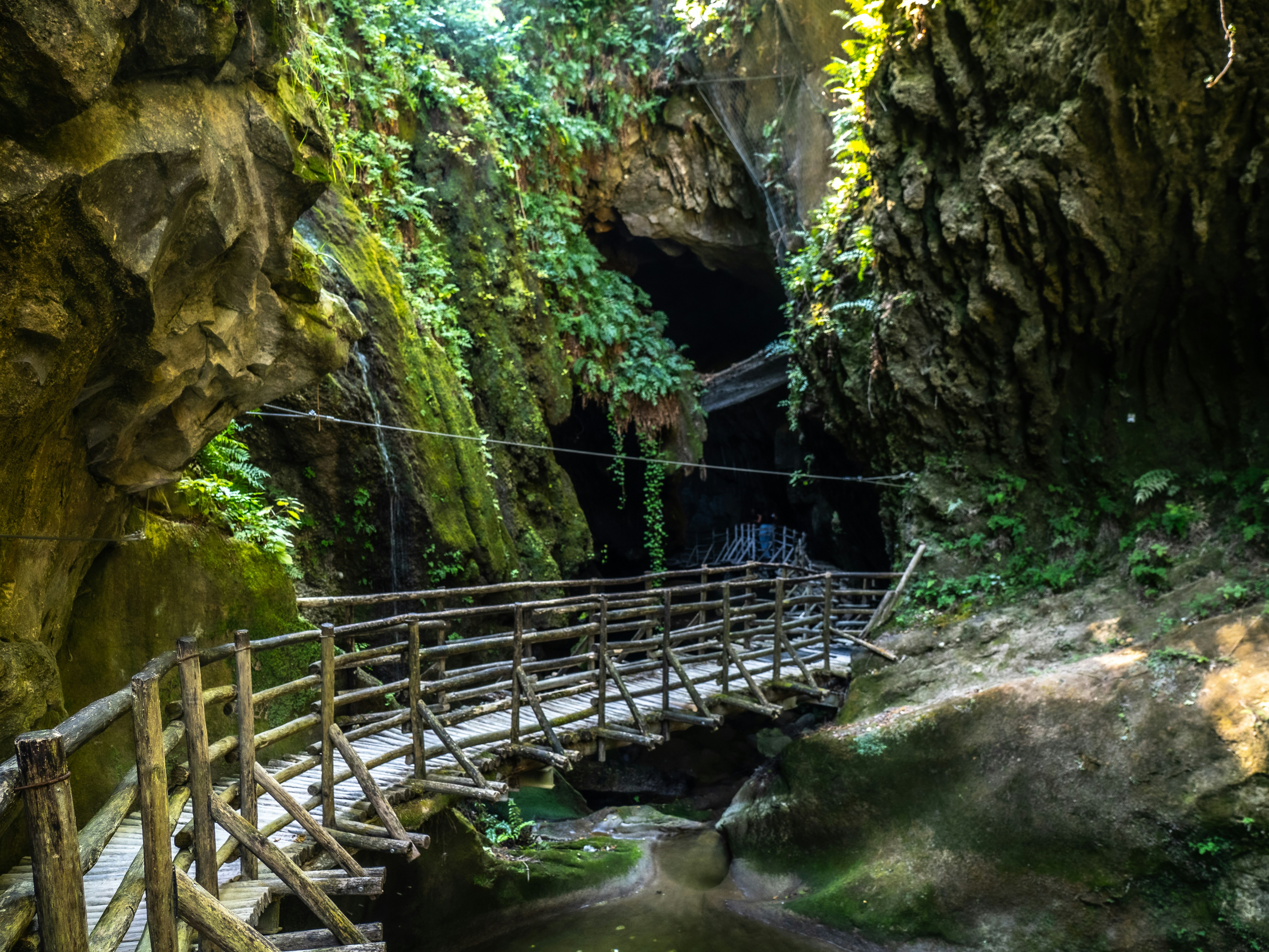A wooden footbridge crossing a stream inside a mossy, fern-covered rocky gorge