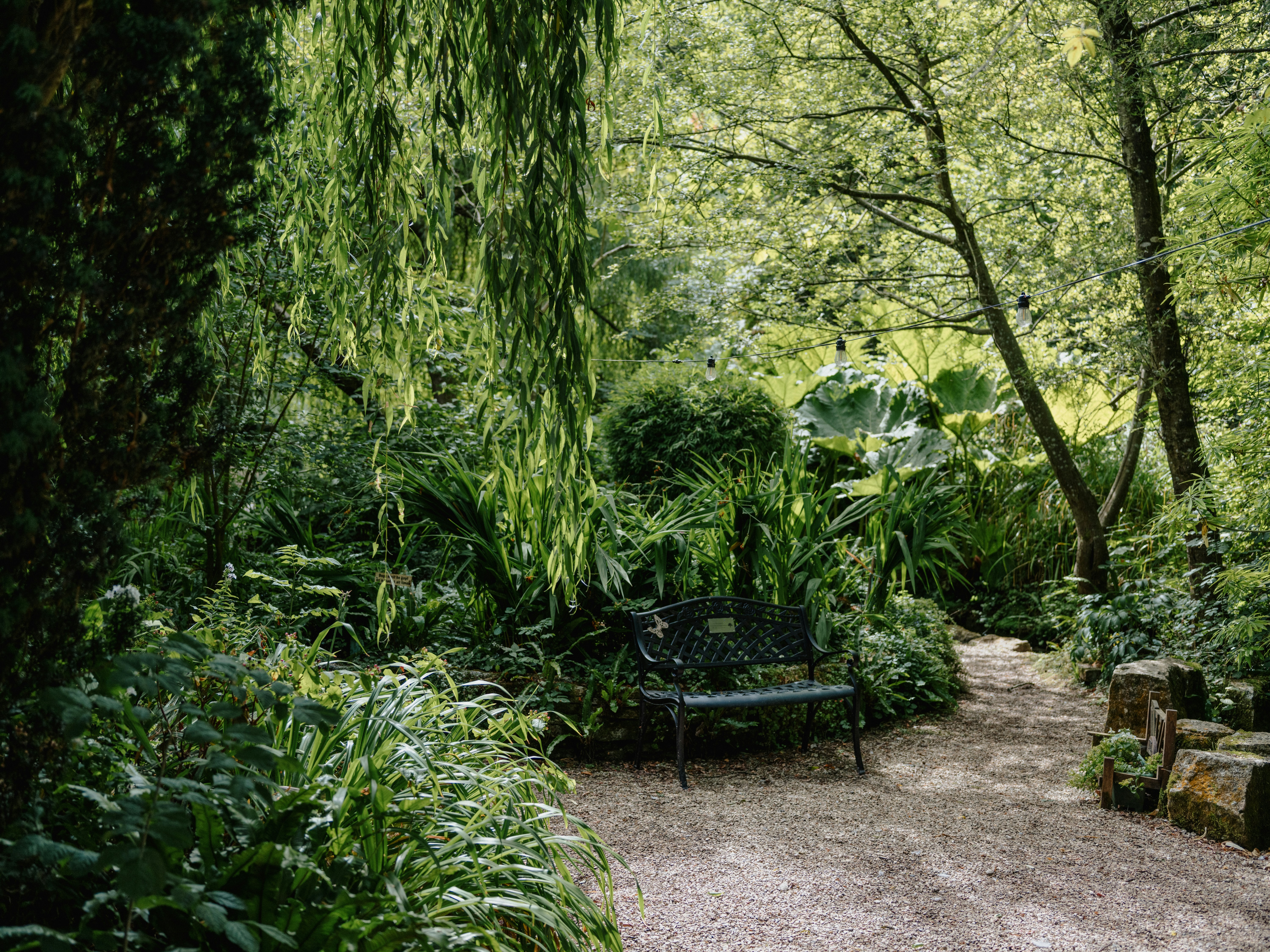 Black metal bench on a gravel path in a lush garden