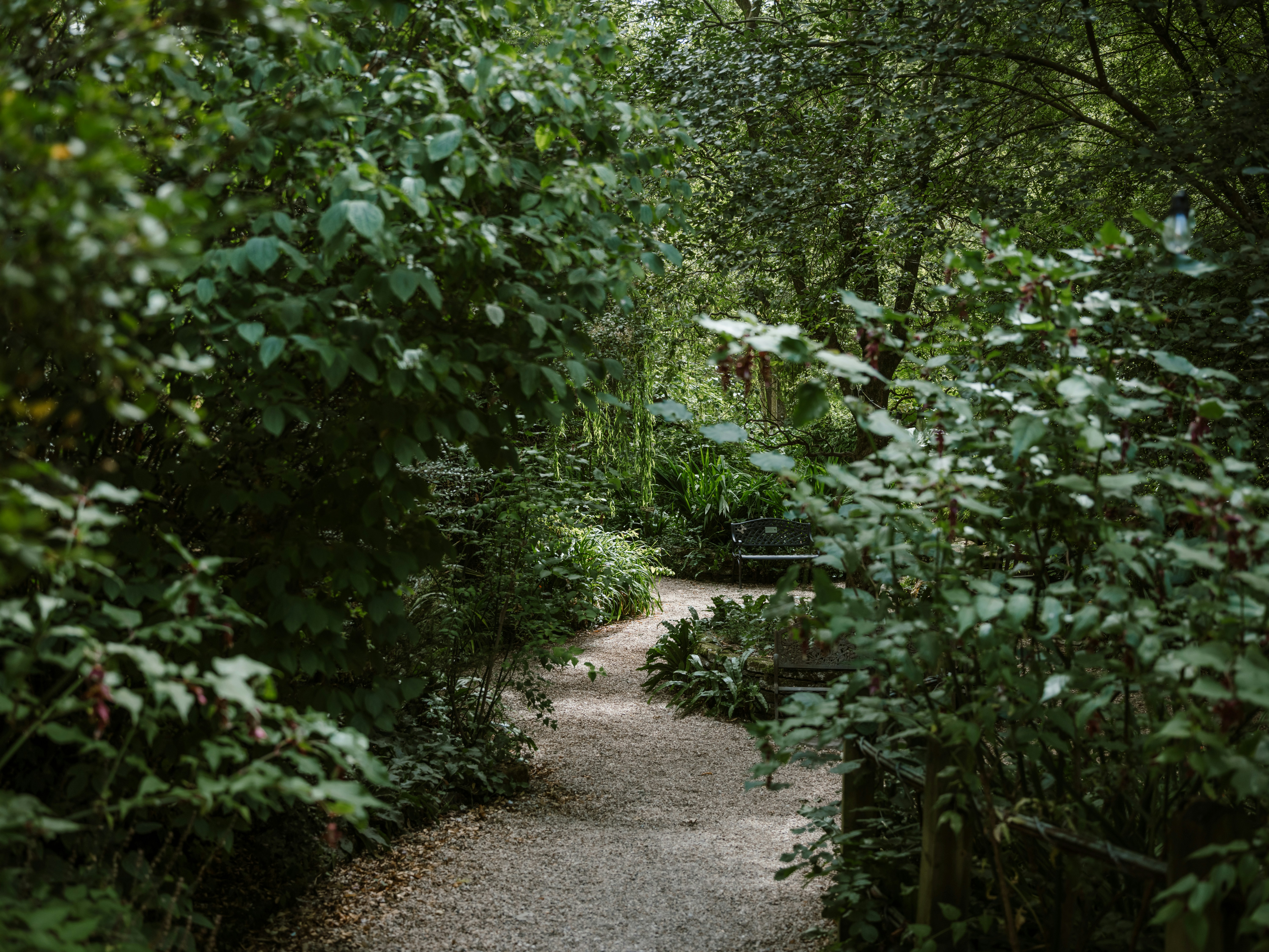 Peaceful garden pathway illustrating thoughtful outdoor design