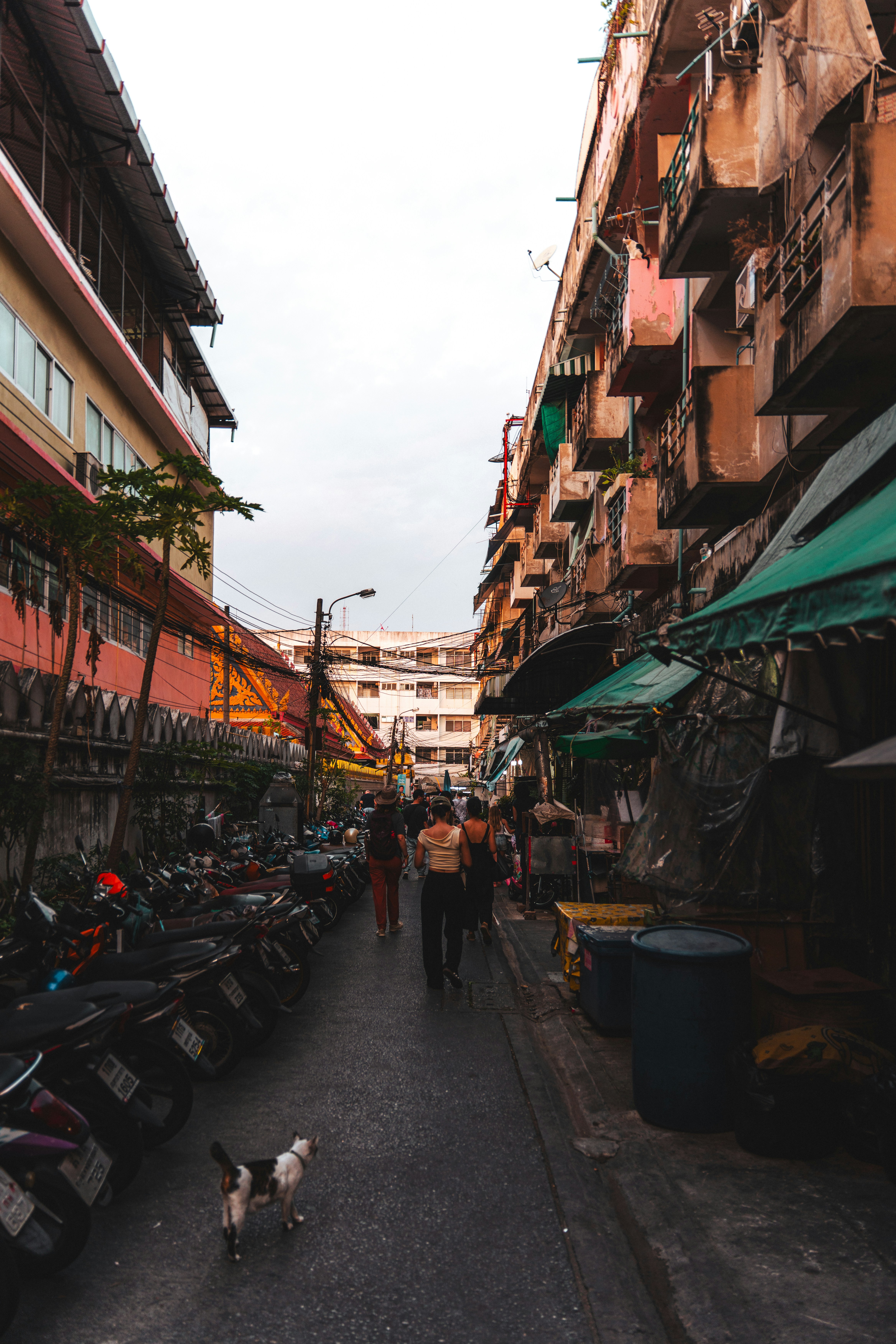 Night Markets Worth Staying Out Late For
