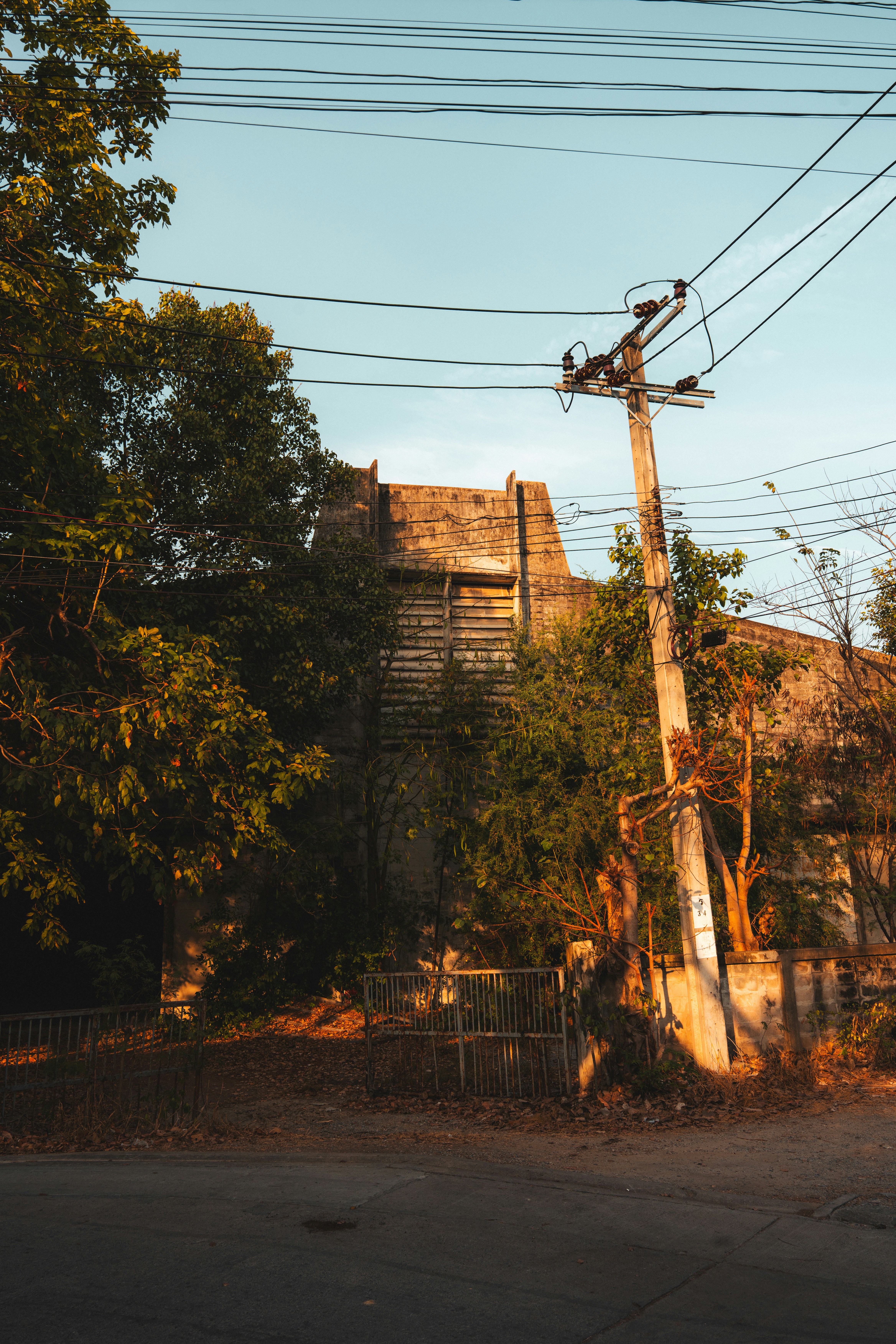 A concrete building behind trees and a utility pole in warm golden light.