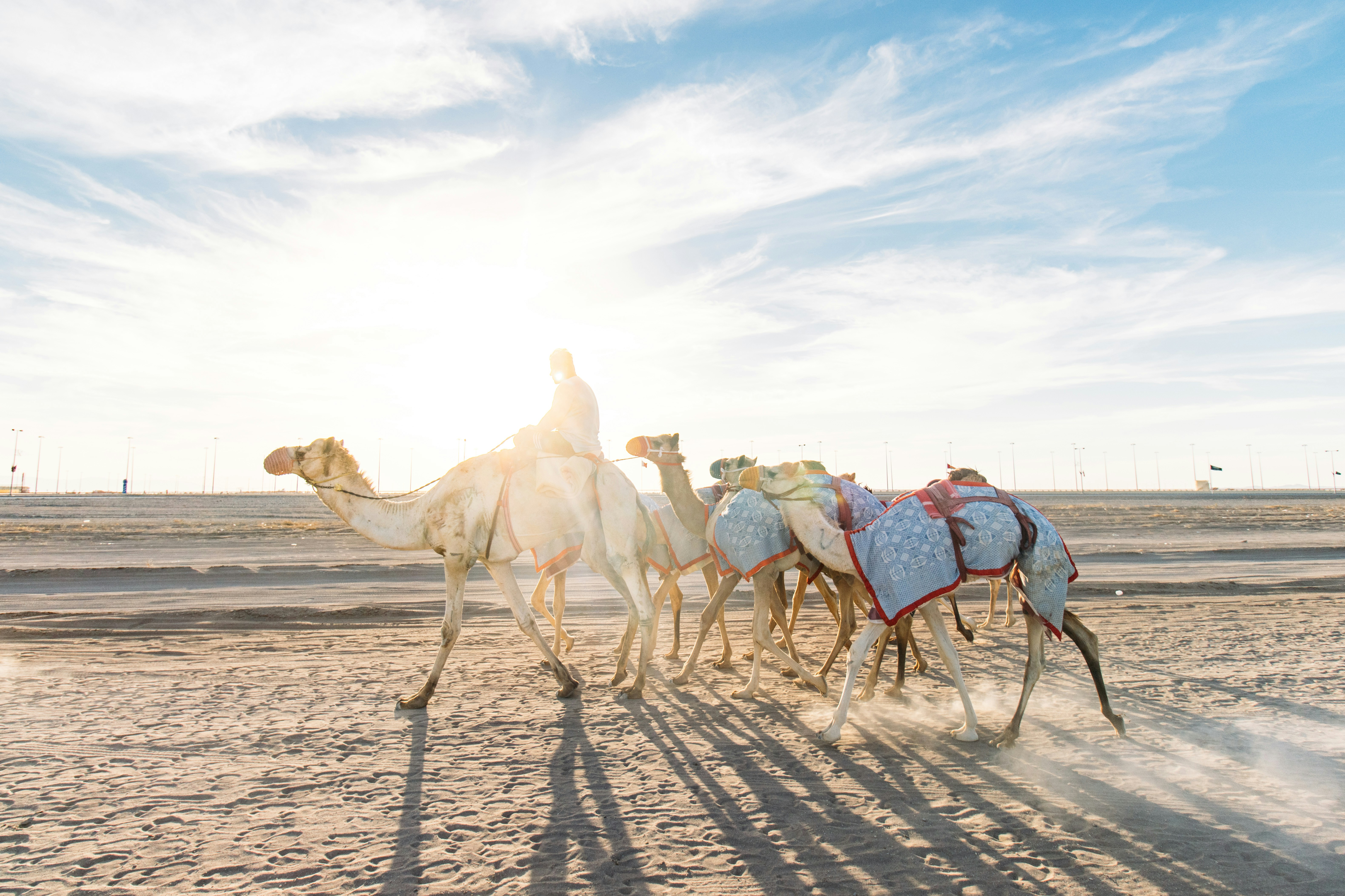 A person riding a camel in a line of camels across a sandy desert.