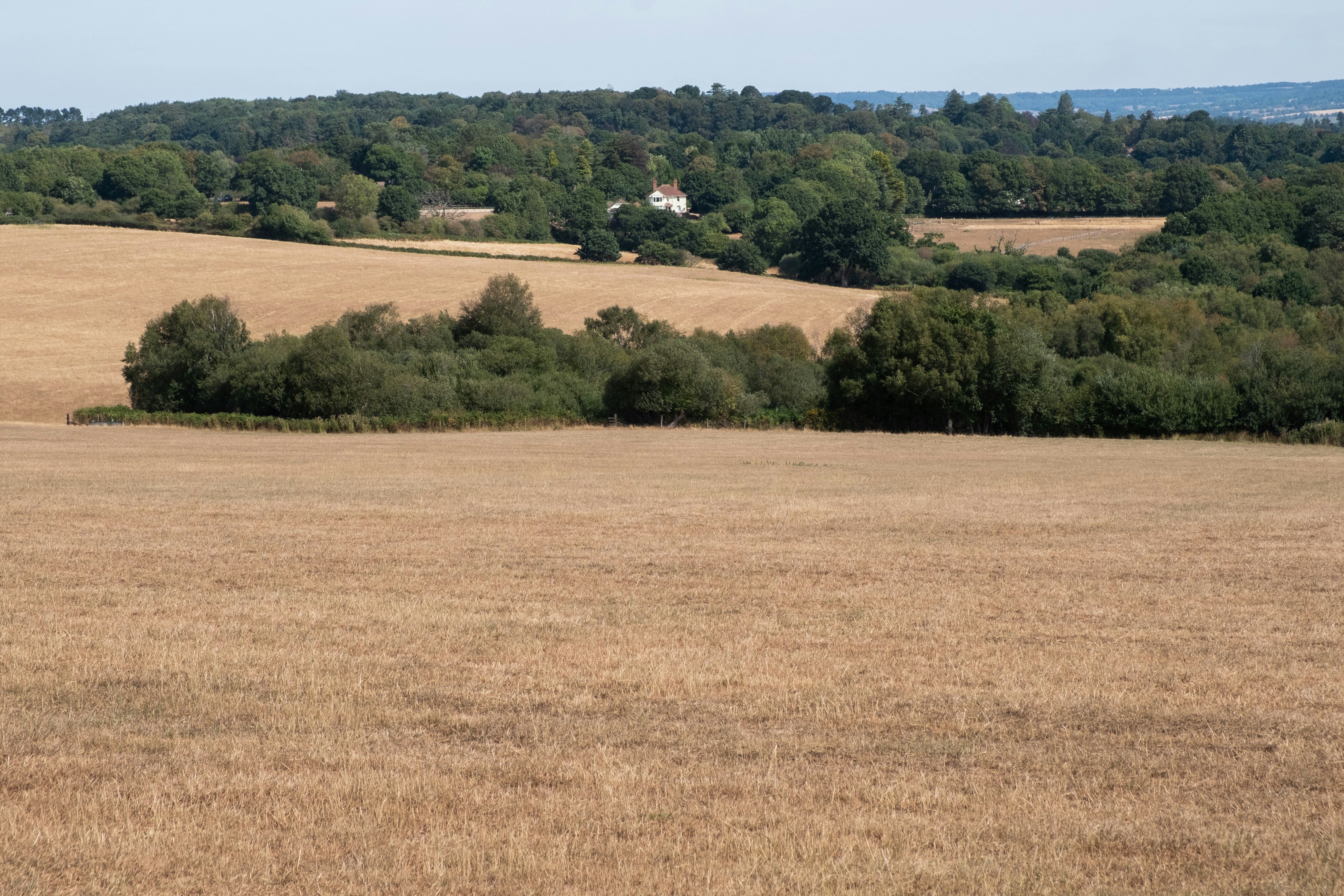 Rural setting is associated with 23% higher odds of death in emergency and trauma care