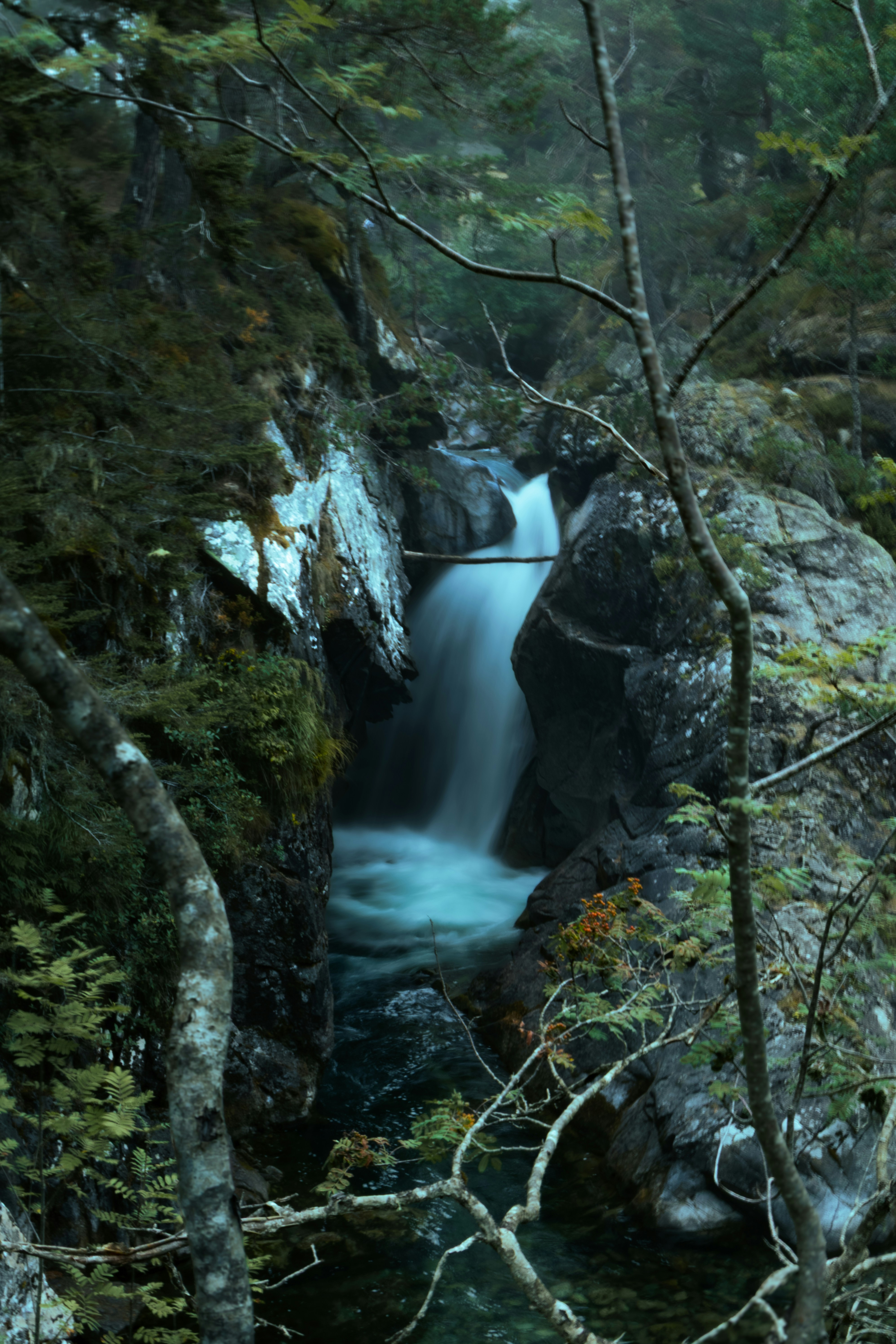 Cascade de Brisecou — Autun