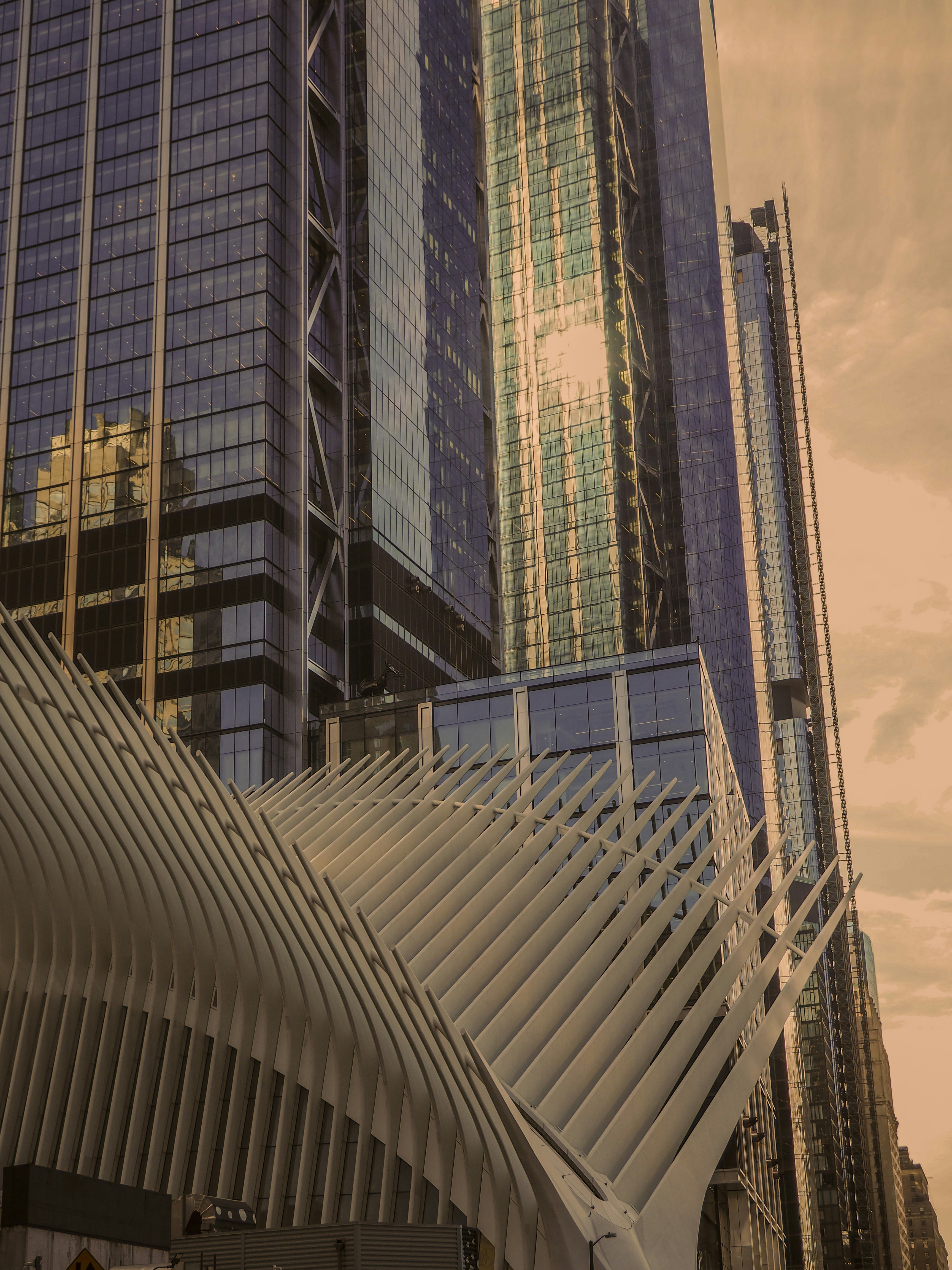 The Oculus structure with white ribs beneath tall glass skyscrapers in New York City