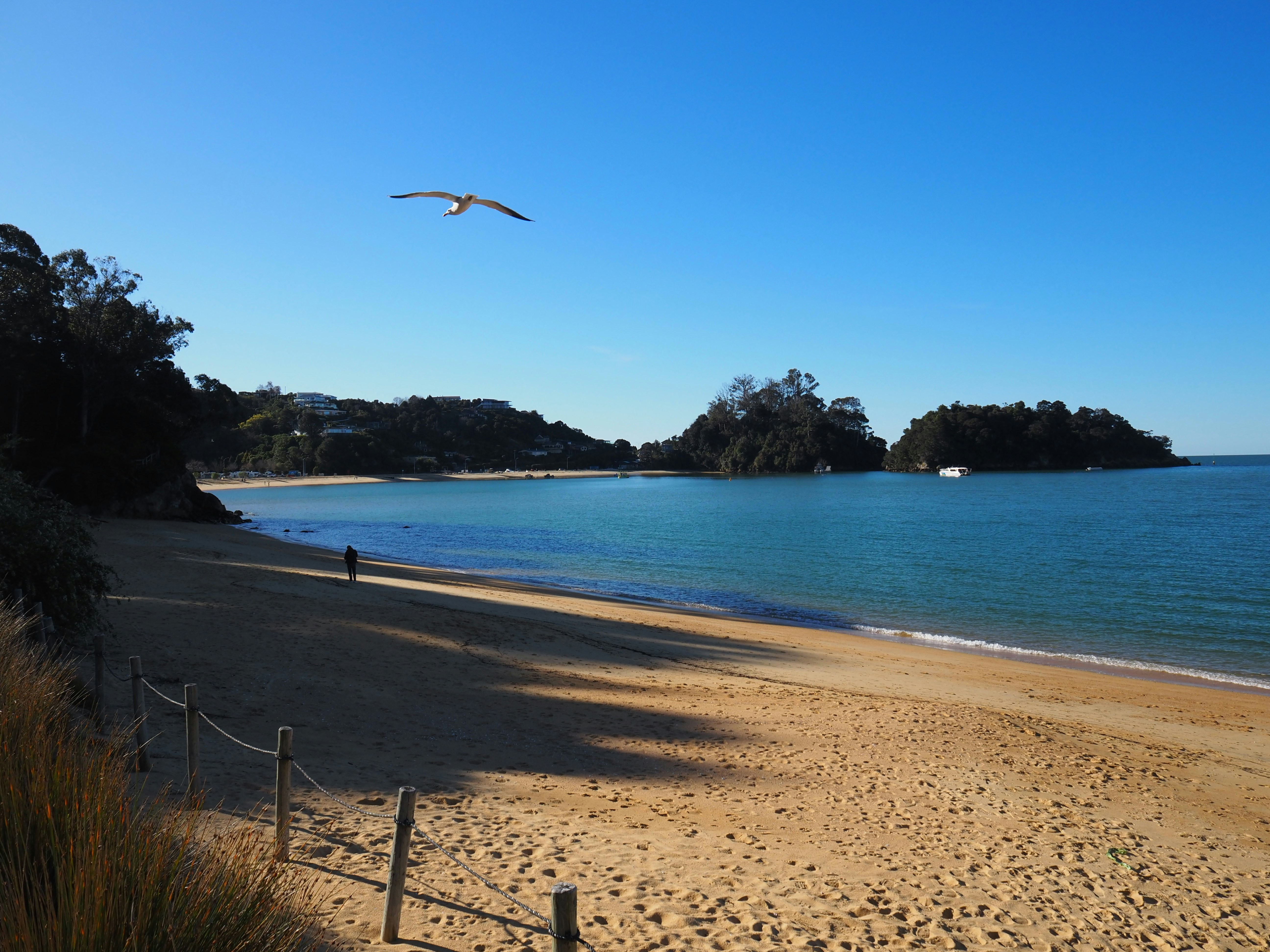 A seagull flying over a sandy beach with forested islands in the distance