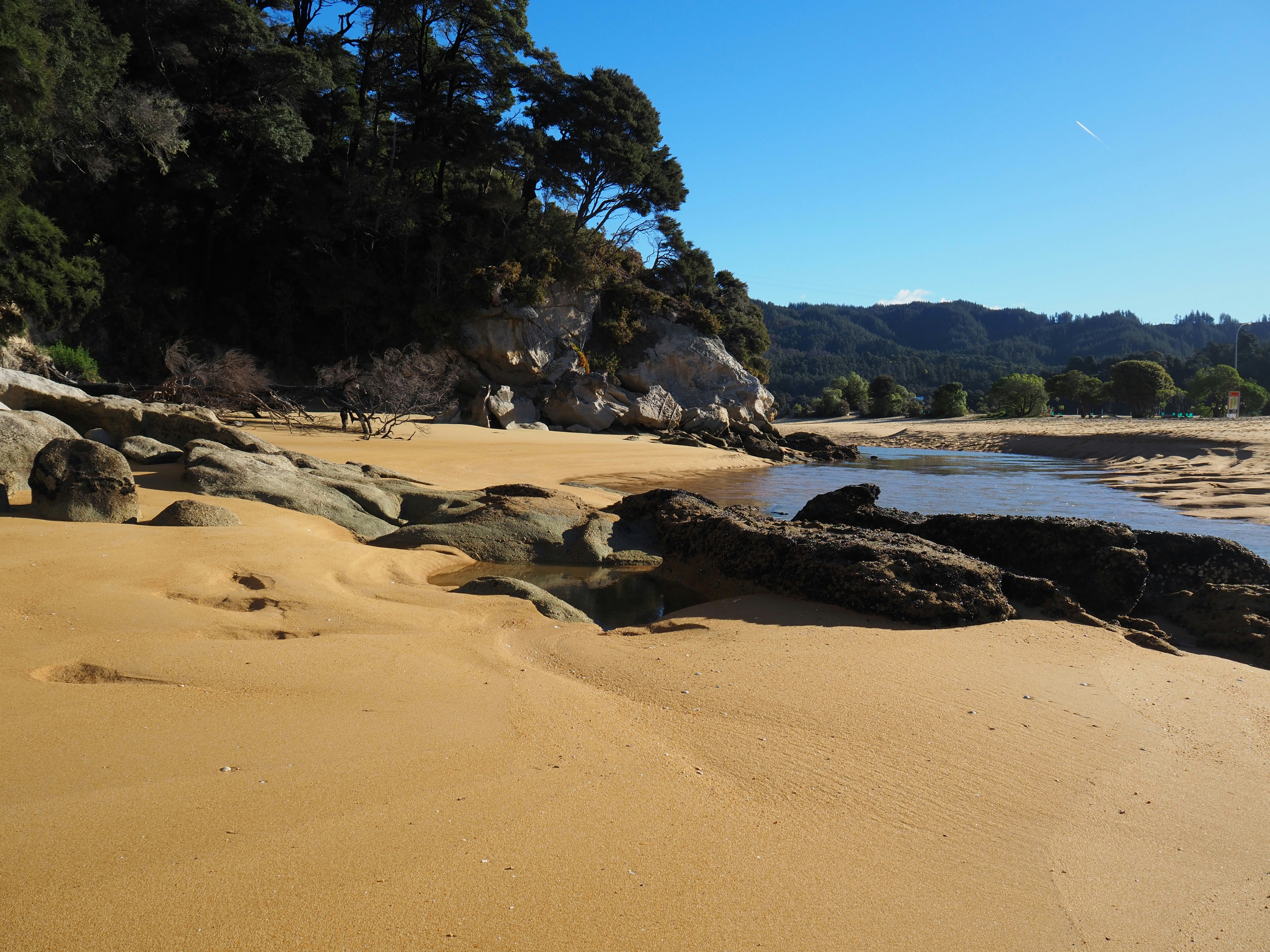 A sandy beach with dark rocks and trees under a clear blue sky