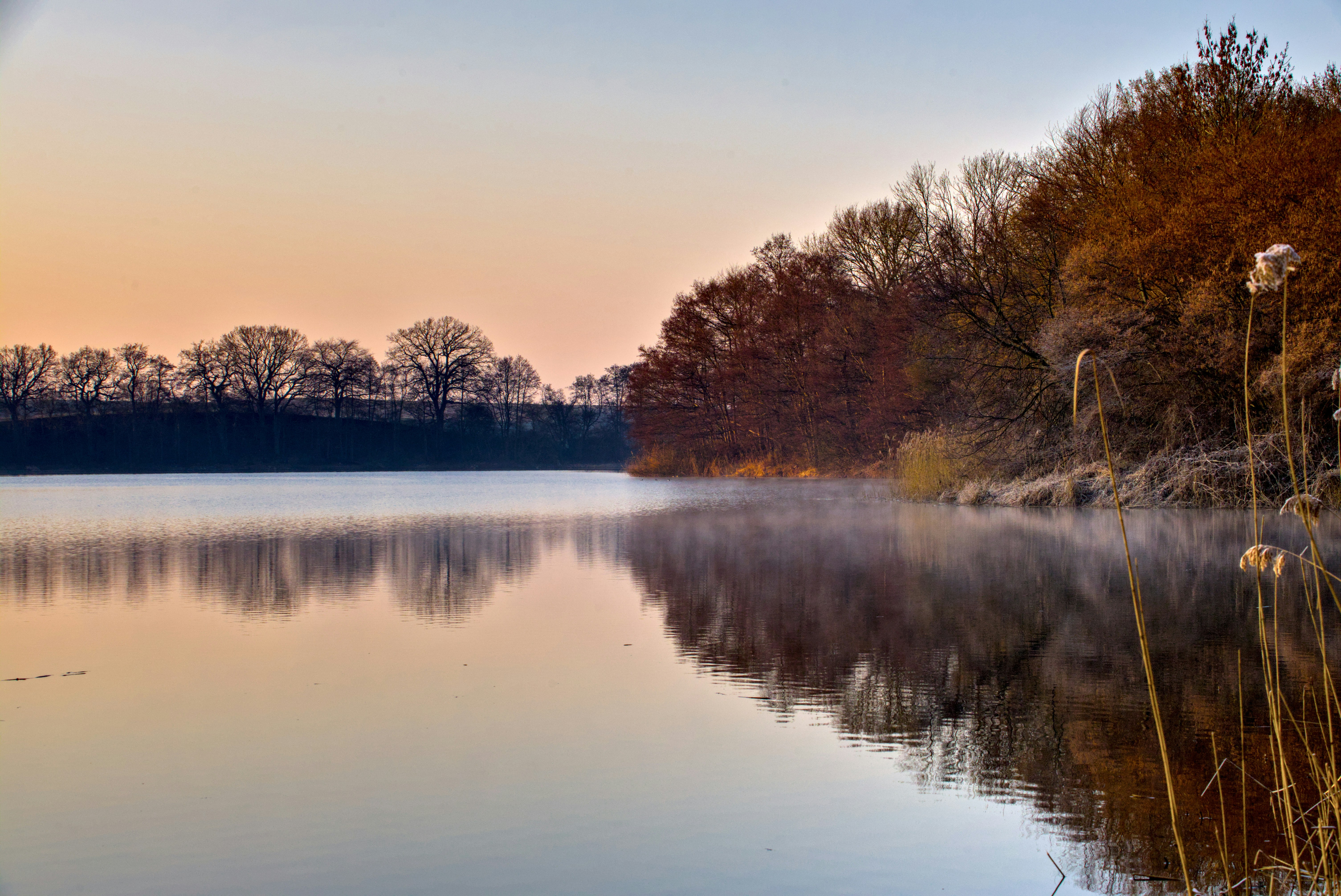 Nebel steigt von einem ruhigen See neben einem Wald aus Herbstbäumen auf