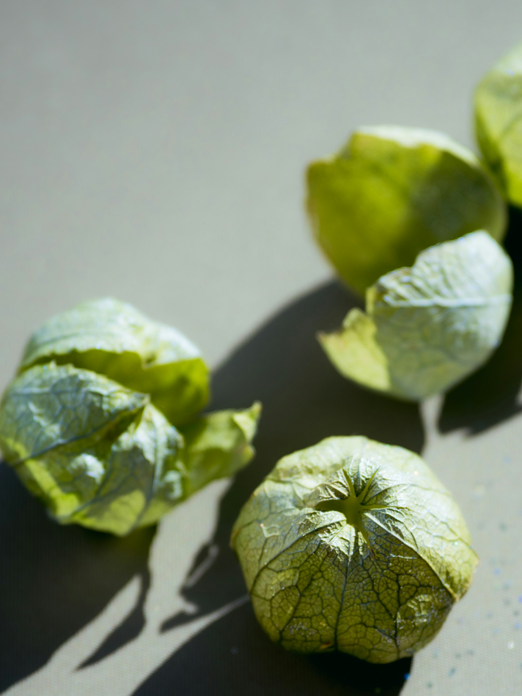 Three green tomatillos in their papery husks on a light grey surface.