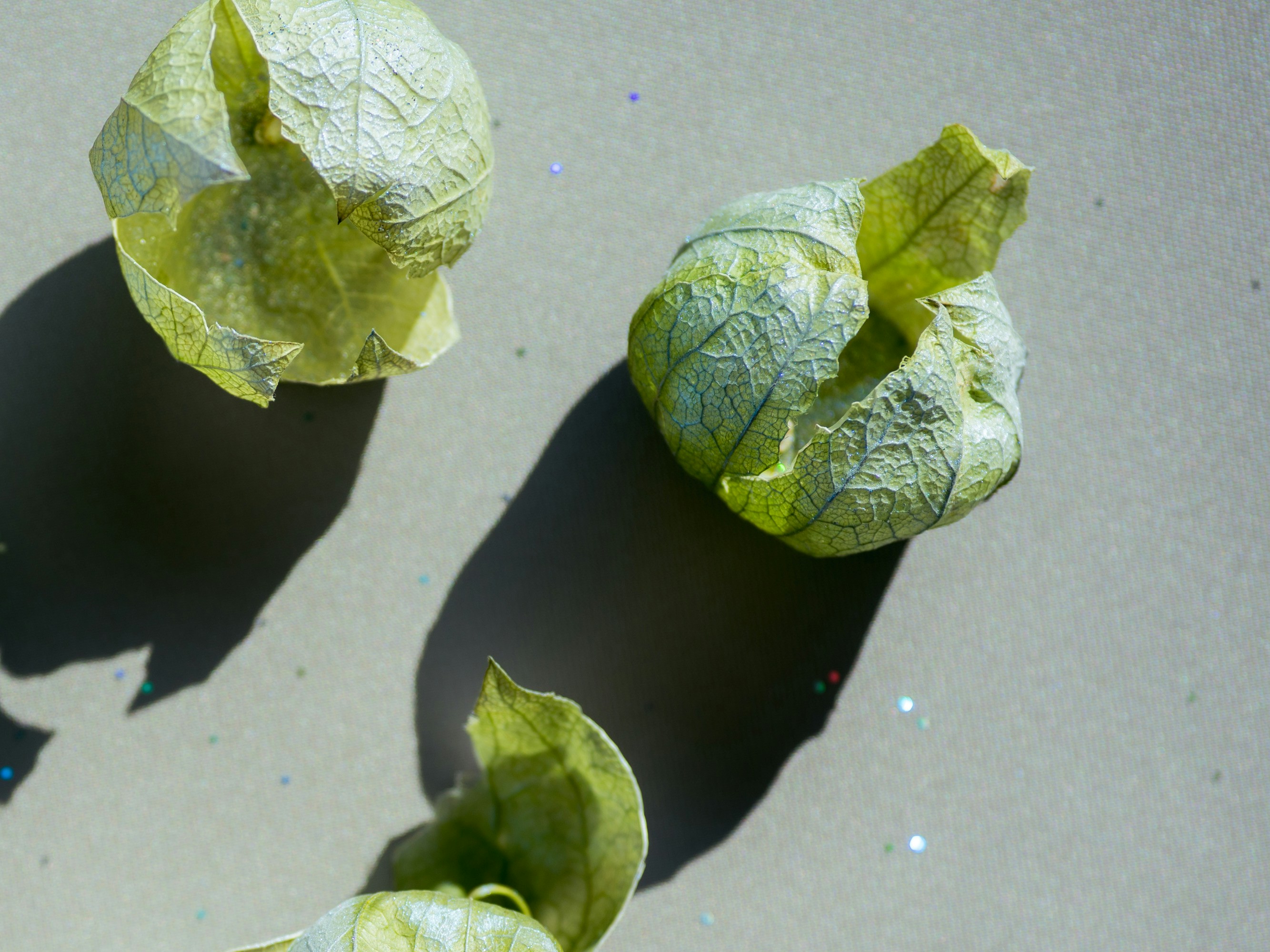 Three tomatillos in papery husks on a light grey surface with long shadows.