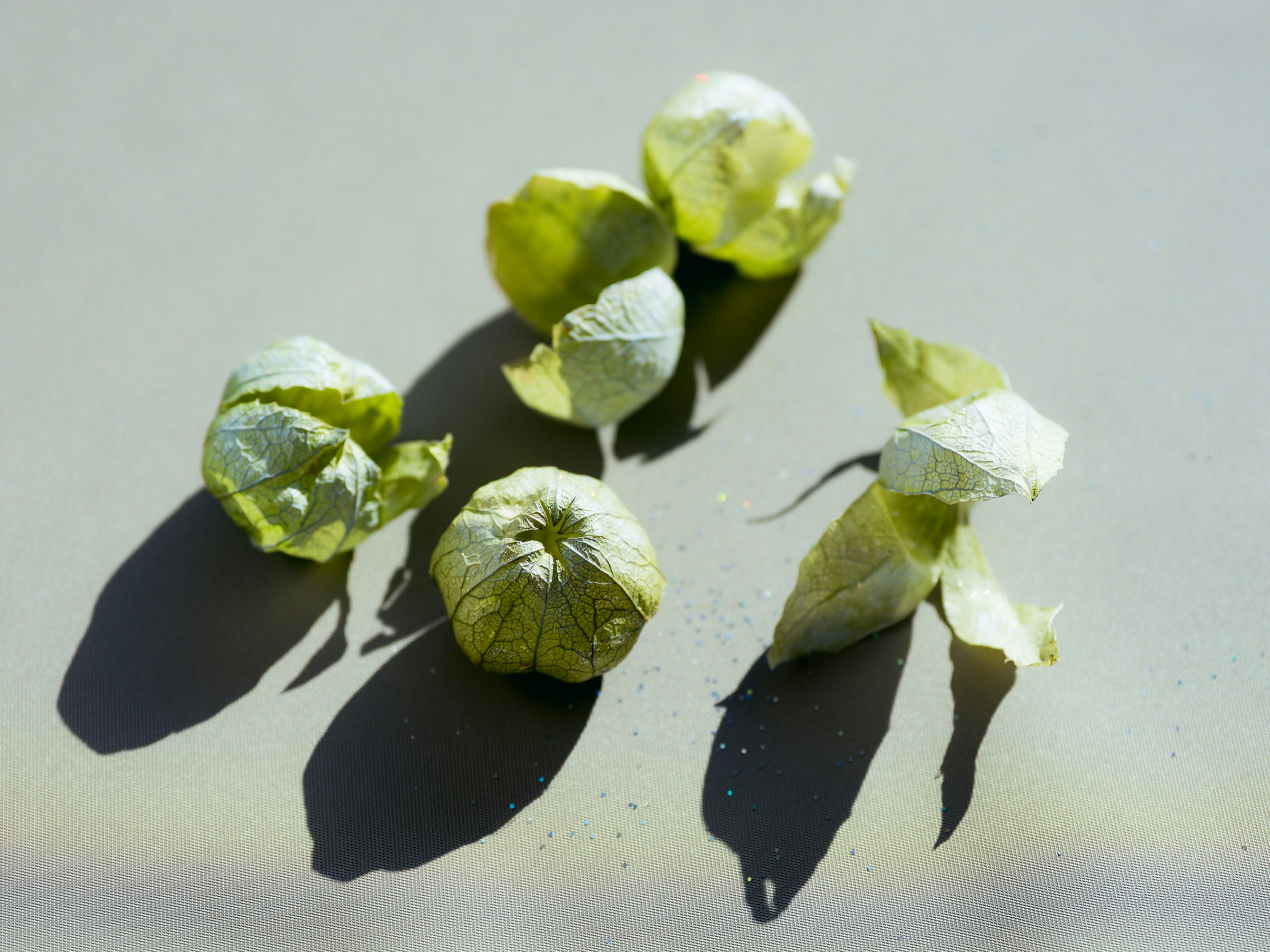 Four tomatillos with papery husks on a light green surface with long shadows.