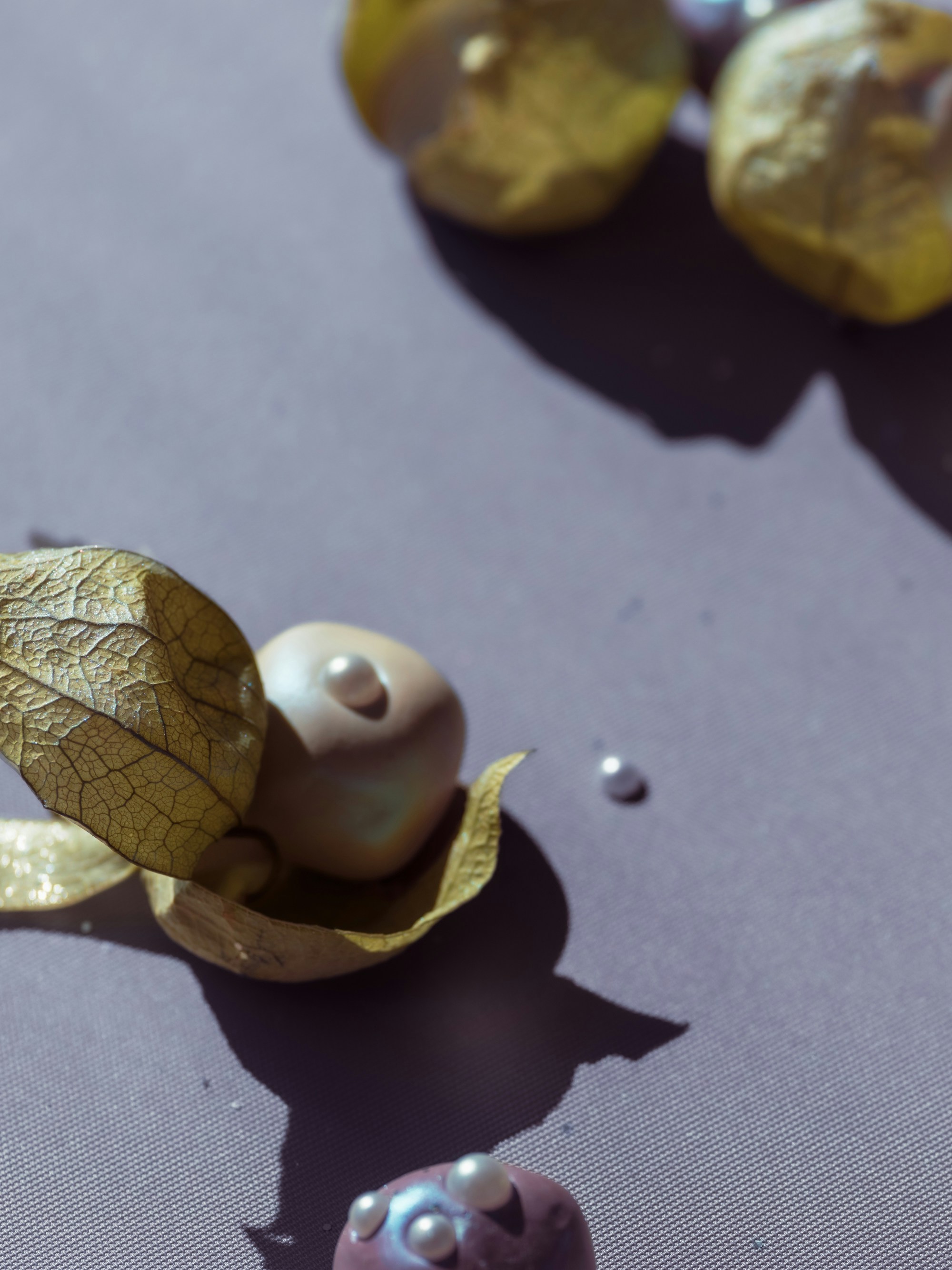 Physalis husks with small pearls on a smooth grey surface.