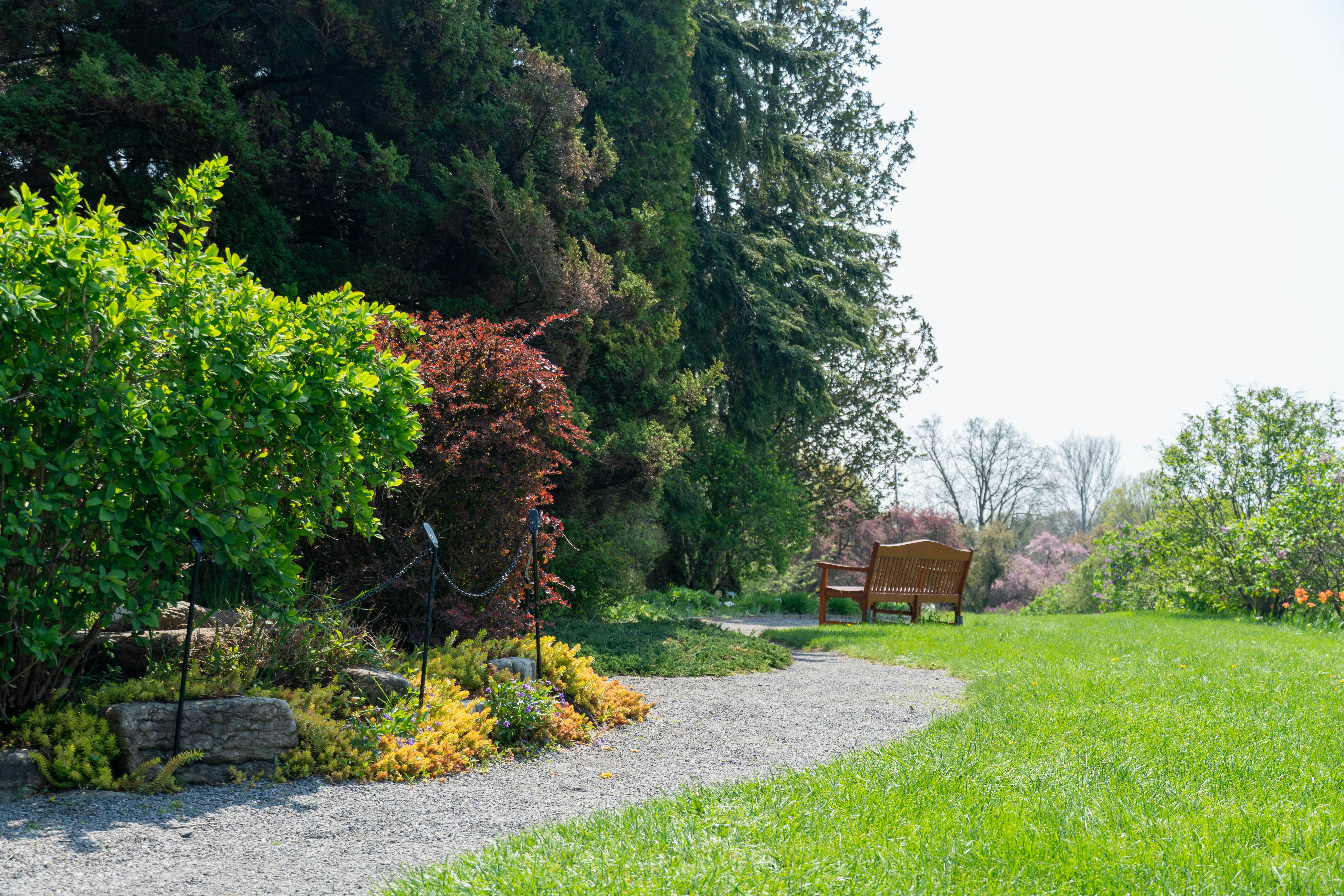 Wooden bench on a gravel garden path