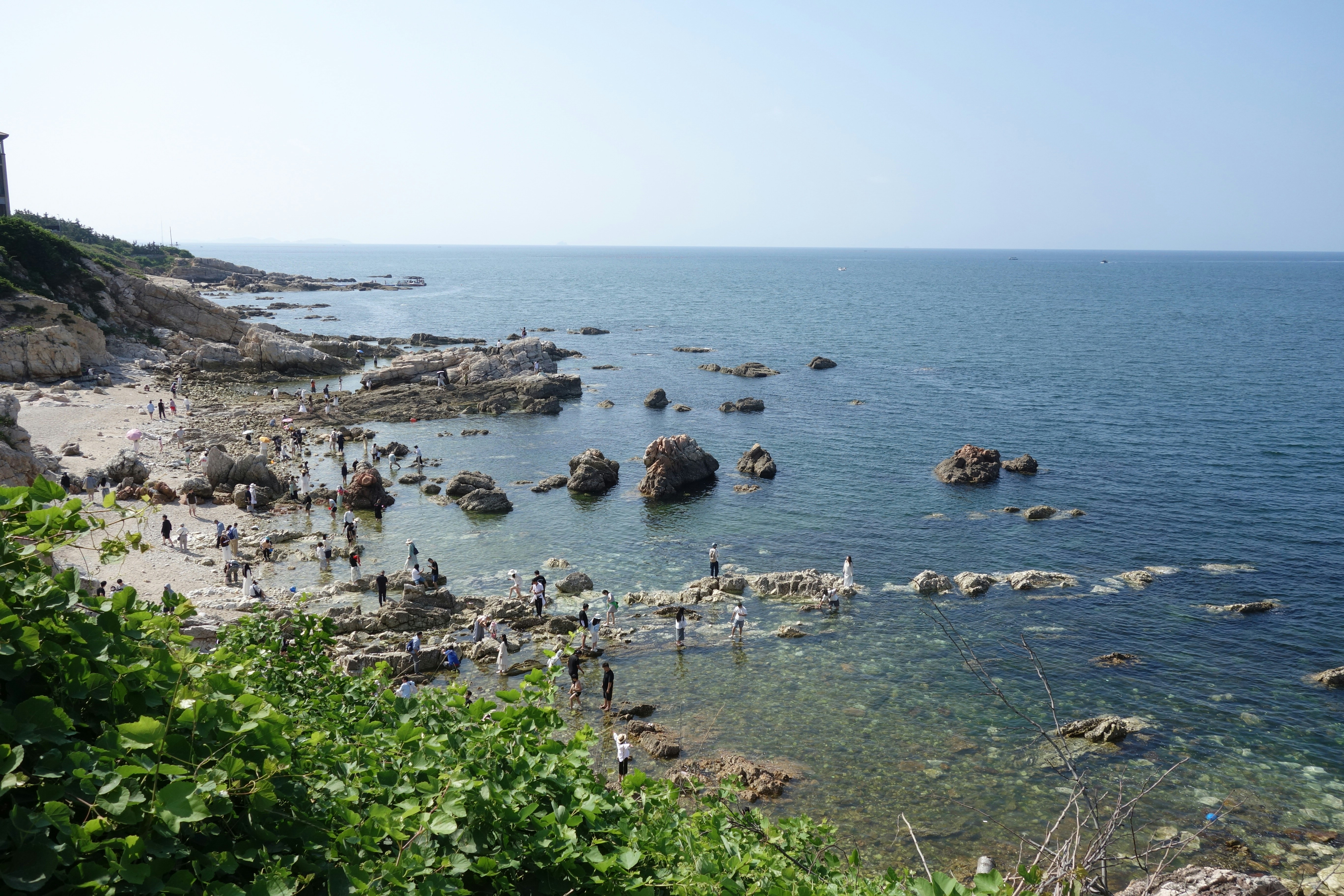 제주 핀크스 포도 호텔 이것 핵심 개념을 담은 타이포그래피 블로그 표지