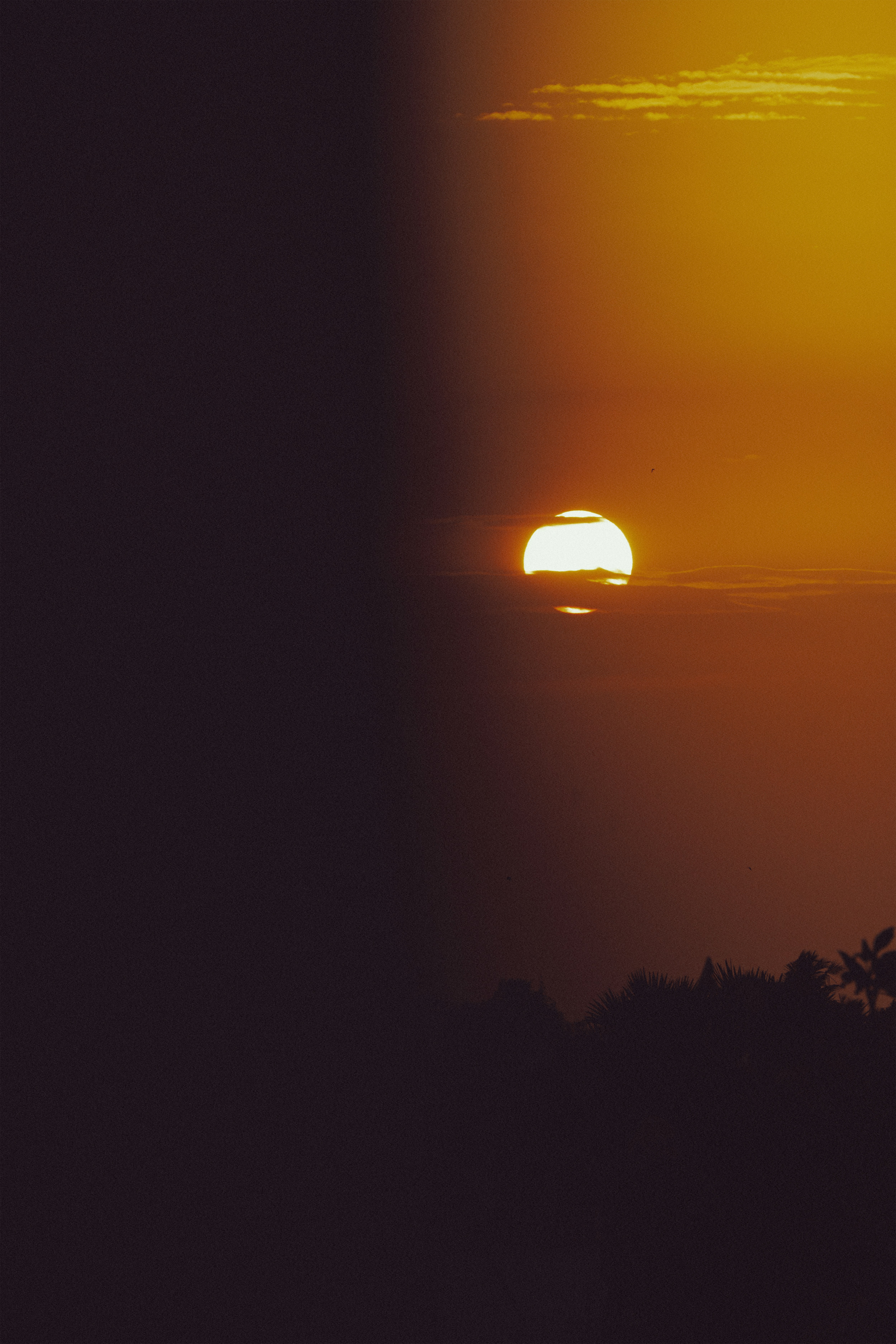 The low sun partially obscured by clouds above a dark silhouette of trees