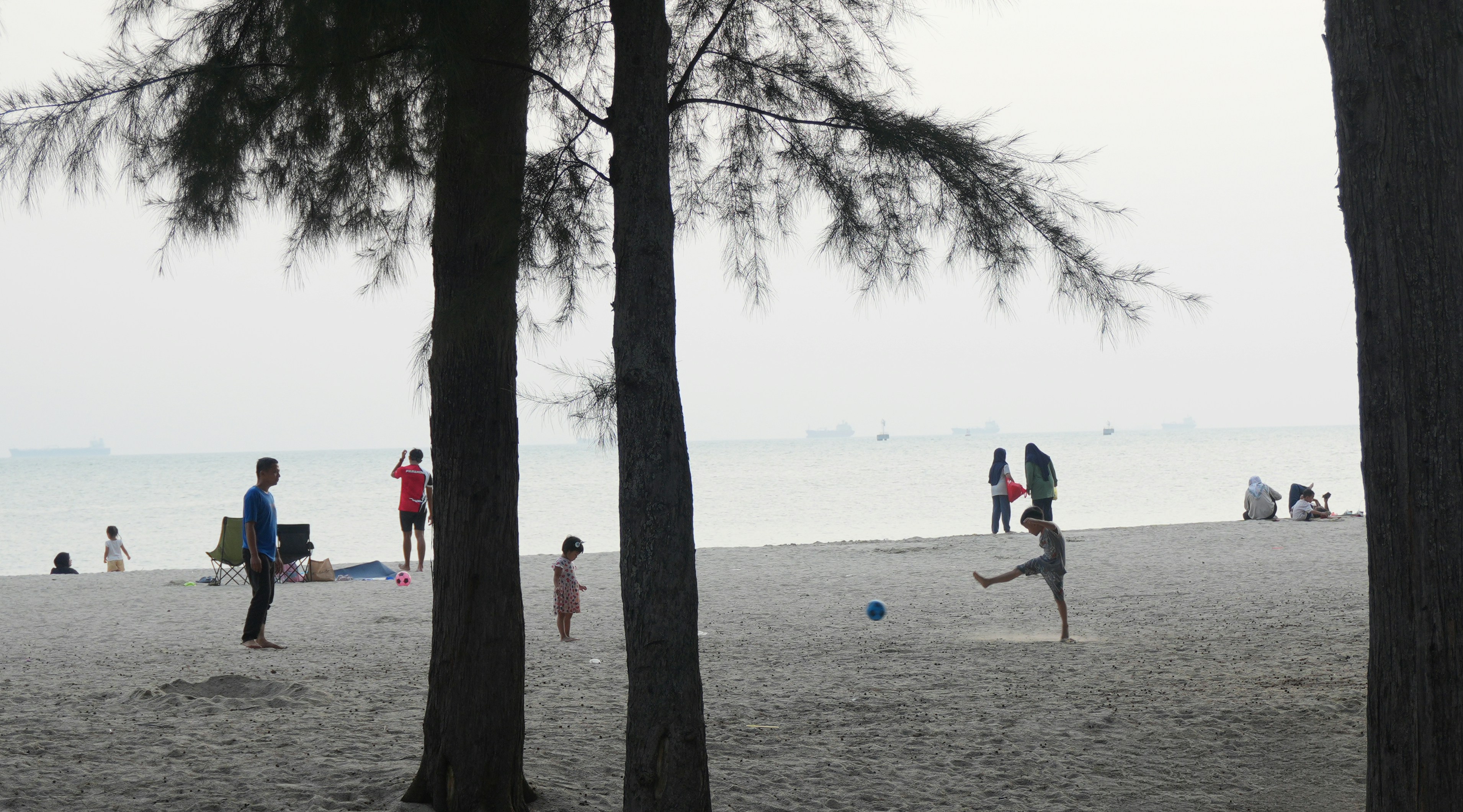 People on a sandy beach with pine trees and distant cargo ships