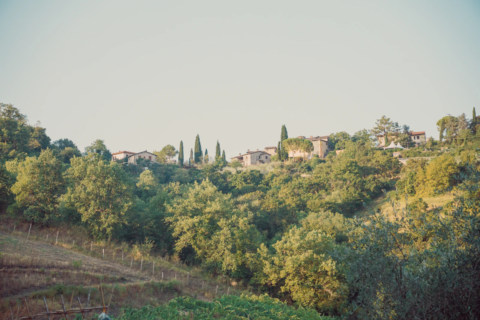 Borgo Santo Pietro: A Farm-to-Table Estate in the Tuscan Hills